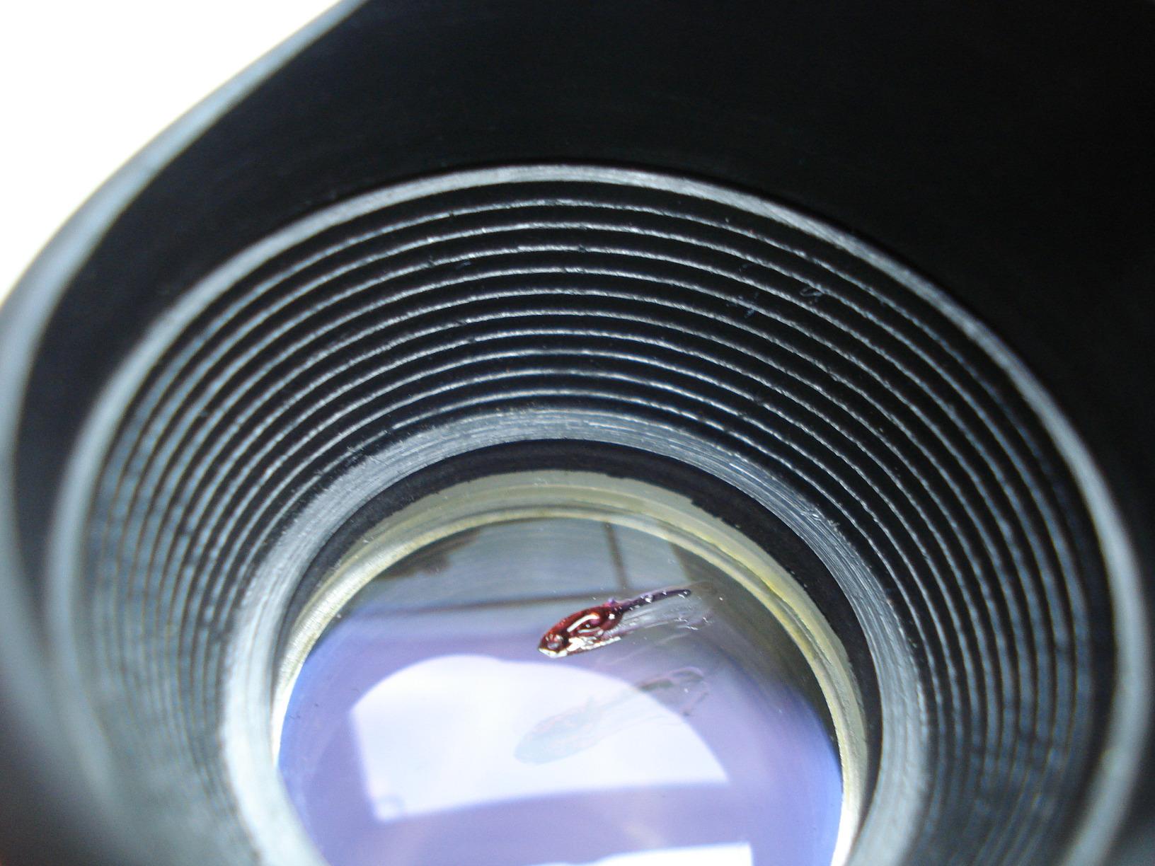 DEWALT Transit Level, Surveying Tool with Tripod and Rod, 20X Magnification (DW090PK) customer photo 2