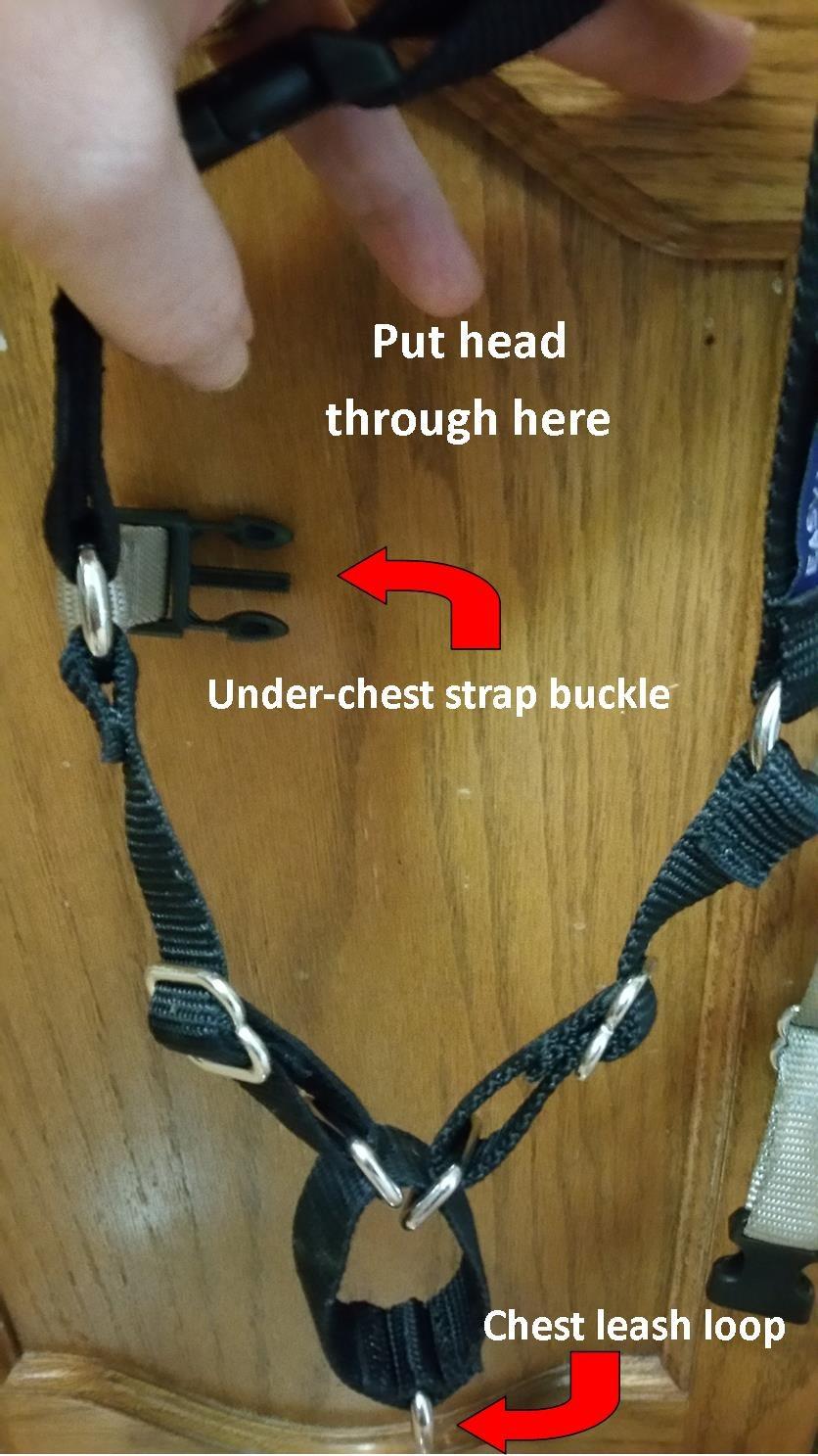 PetSafe Easy Walk Harness for Dogs - Pull-Free Walks - Patented Martingale Loop Design - Front Chest Leash Attachment - Adjustable Comfort Straps - Breathable Harness Design - Large, Black/Silver customer photo 2