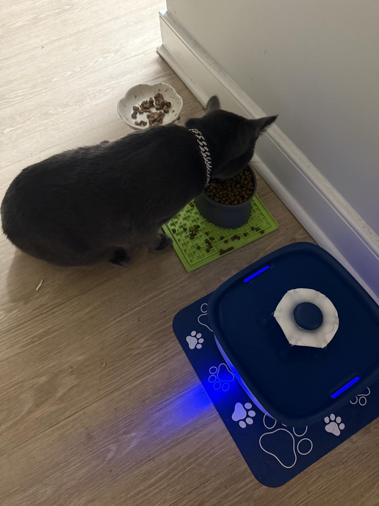 Blue Buffalo Tastefuls Adult Dry Cat Food Indoor Cat Formula, Made in the USA with Natural Ingredients, Salmon Recipe, 7-lb. Bag customer photo 1