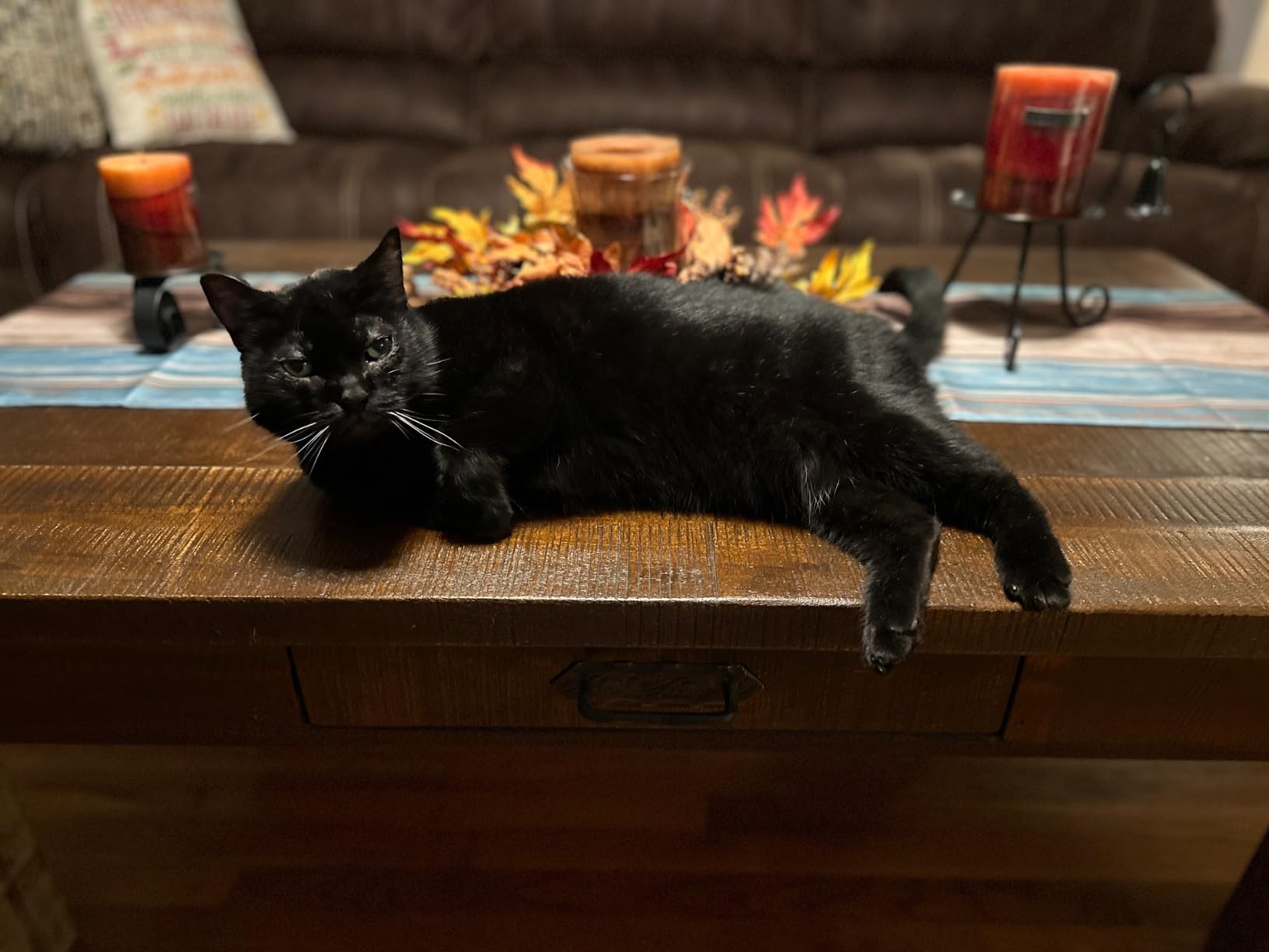 Blue Buffalo Tastefuls Adult Dry Cat Food Indoor Cat Formula, Made in the USA with Natural Ingredients, Salmon Recipe, 7-lb. Bag customer photo 2