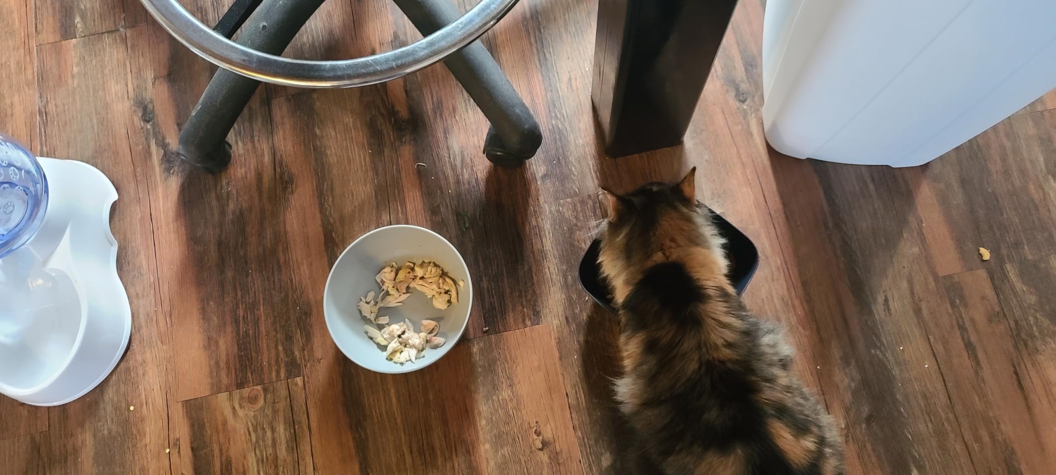 Meow Mix Indoor Health Dry Cat Food, 6.3 Pound Bag customer photo 1