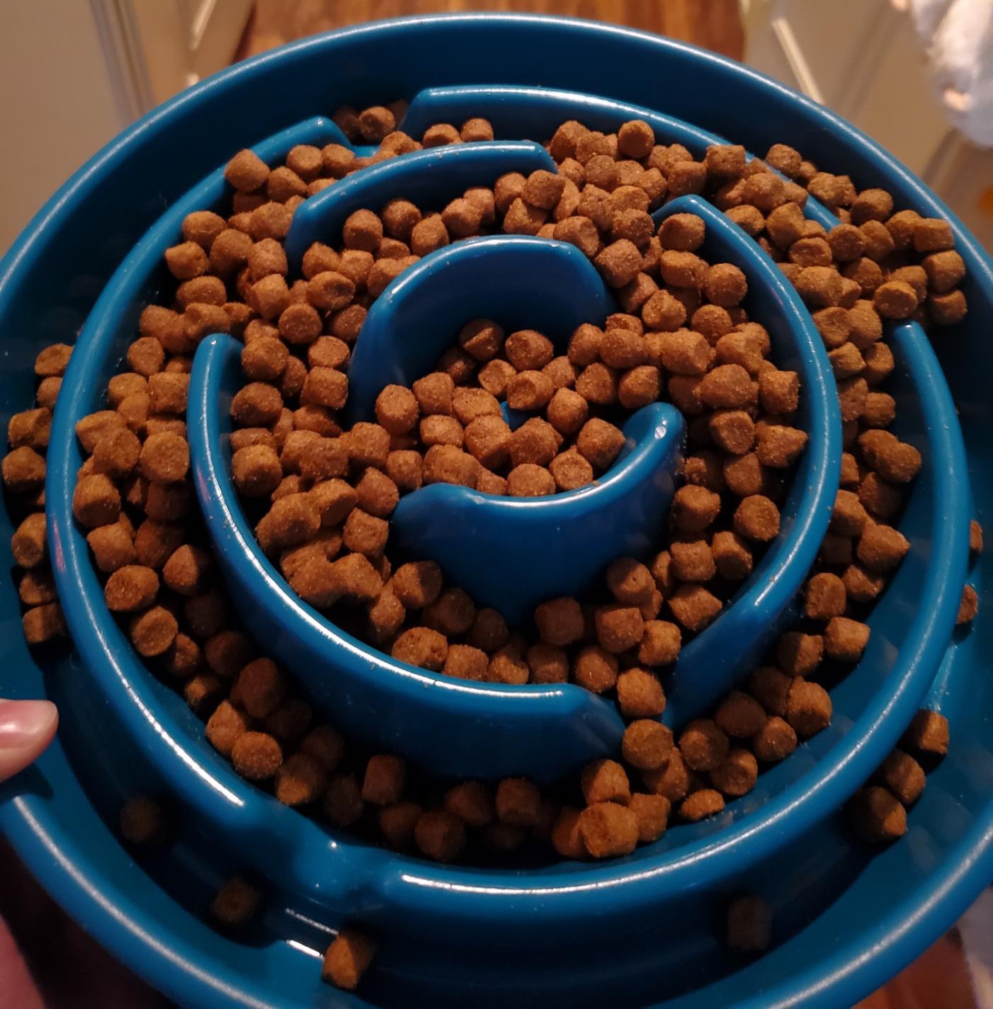 Diamond Naturals Large Breed Adult Dry Dog Food Lamb Meal and Rice Formula with Protein from Real Lamb, Probiotics and Essential Nutrients to Support Balanced and Overall Health in Adult Dogs 40lb customer photo 1