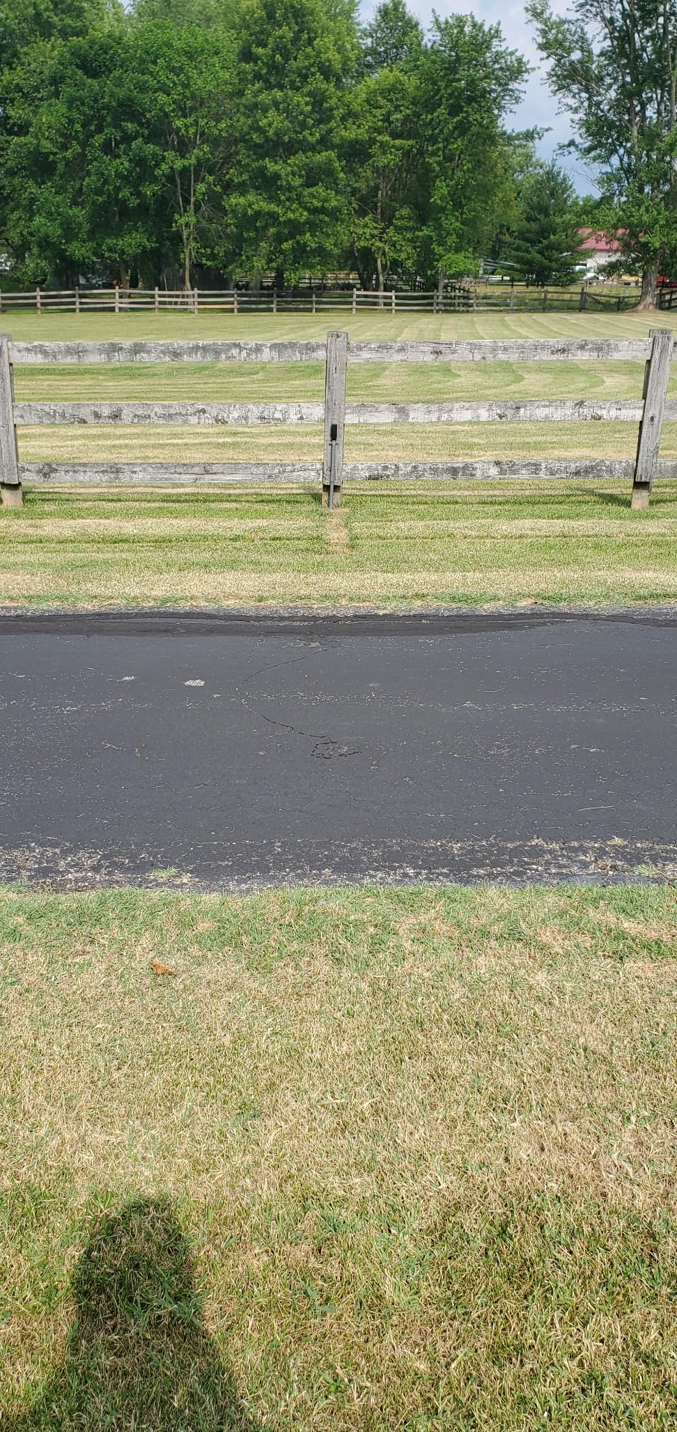 Mighty Mule FM231 Wireless Driveway Alarm - Electromagnetic Vehicle Detection, Indoor Receiver, 400 ft Range, Expandable, Battery Powered, Easy Installation, Driveway & Property Security System customer photo 1