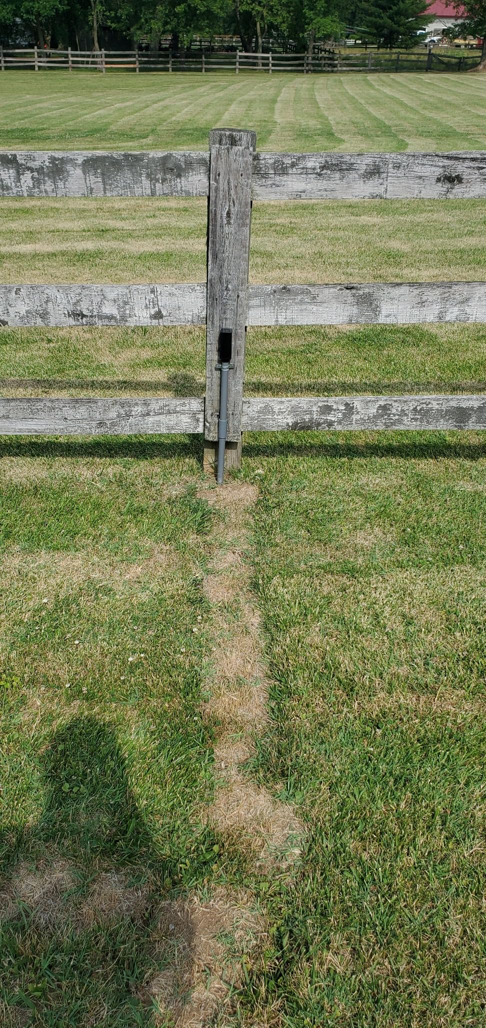 Mighty Mule FM231 Wireless Driveway Alarm - Electromagnetic Vehicle Detection, Indoor Receiver, 400 ft Range, Expandable, Battery Powered, Easy Installation, Driveway & Property Security System customer photo 2