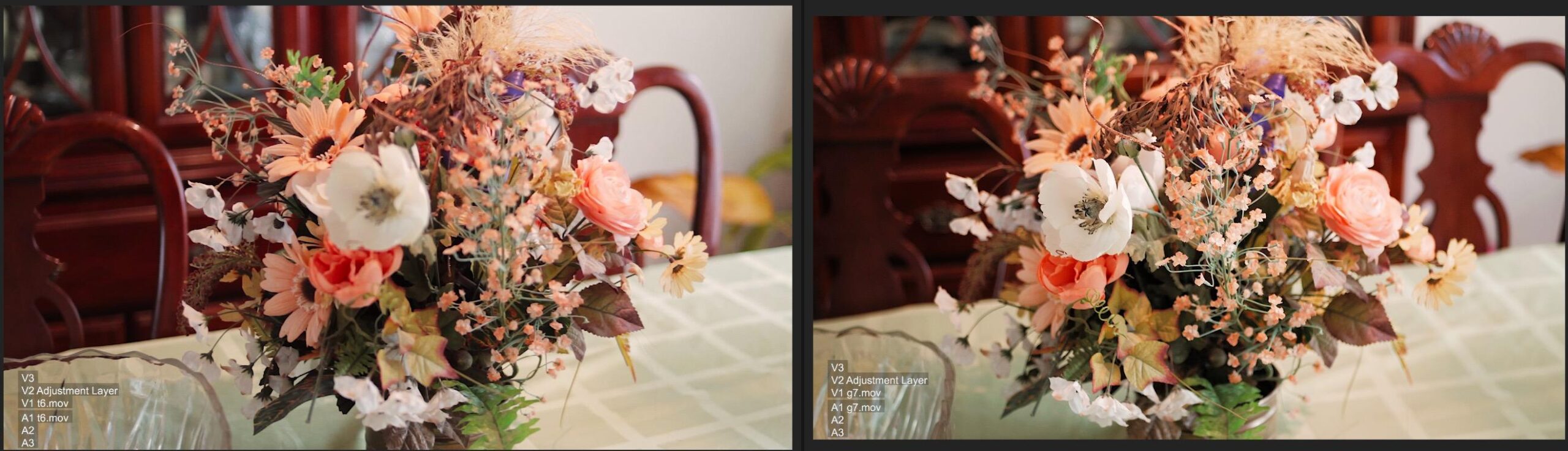 Datacolor SpyderCHECKR 24 - Color calibrate your camera for consistent image color across multiple camera systems/lighting conditions. Target color chart has 24 target colors + grey card. customer photo 2