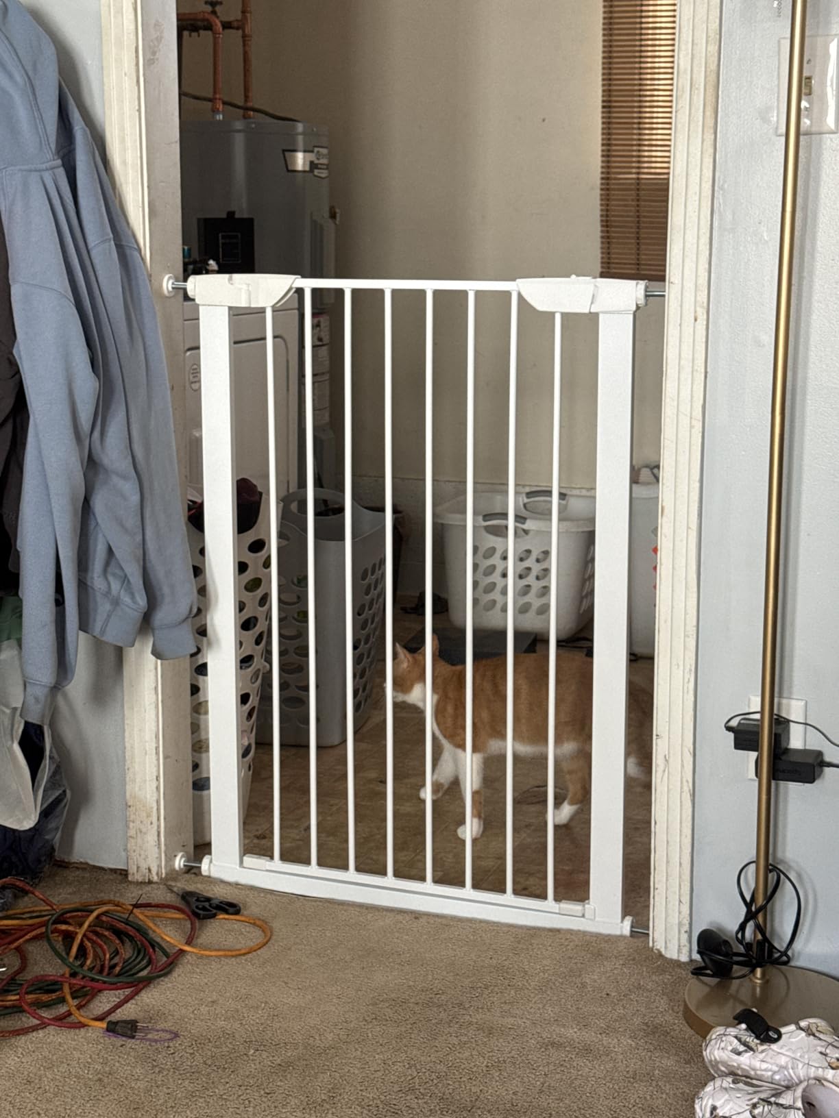 MidWest Homes for Pets 39-Inch High Walk-Thru Pressure Mounted Steel Dog Gate, Expands to 38 Inches Wide, Includes 3-inch Extensions, Textured Graphite customer photo 1