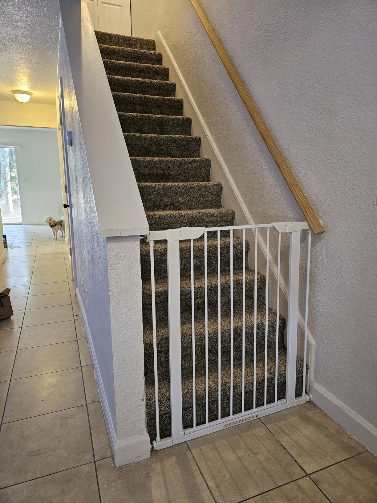 MidWest Homes for Pets 39-Inch High Walk-Thru Pressure Mounted Steel Dog Gate, Expands to 38 Inches Wide, Includes 3-inch Extensions, Textured Graphite customer photo 2