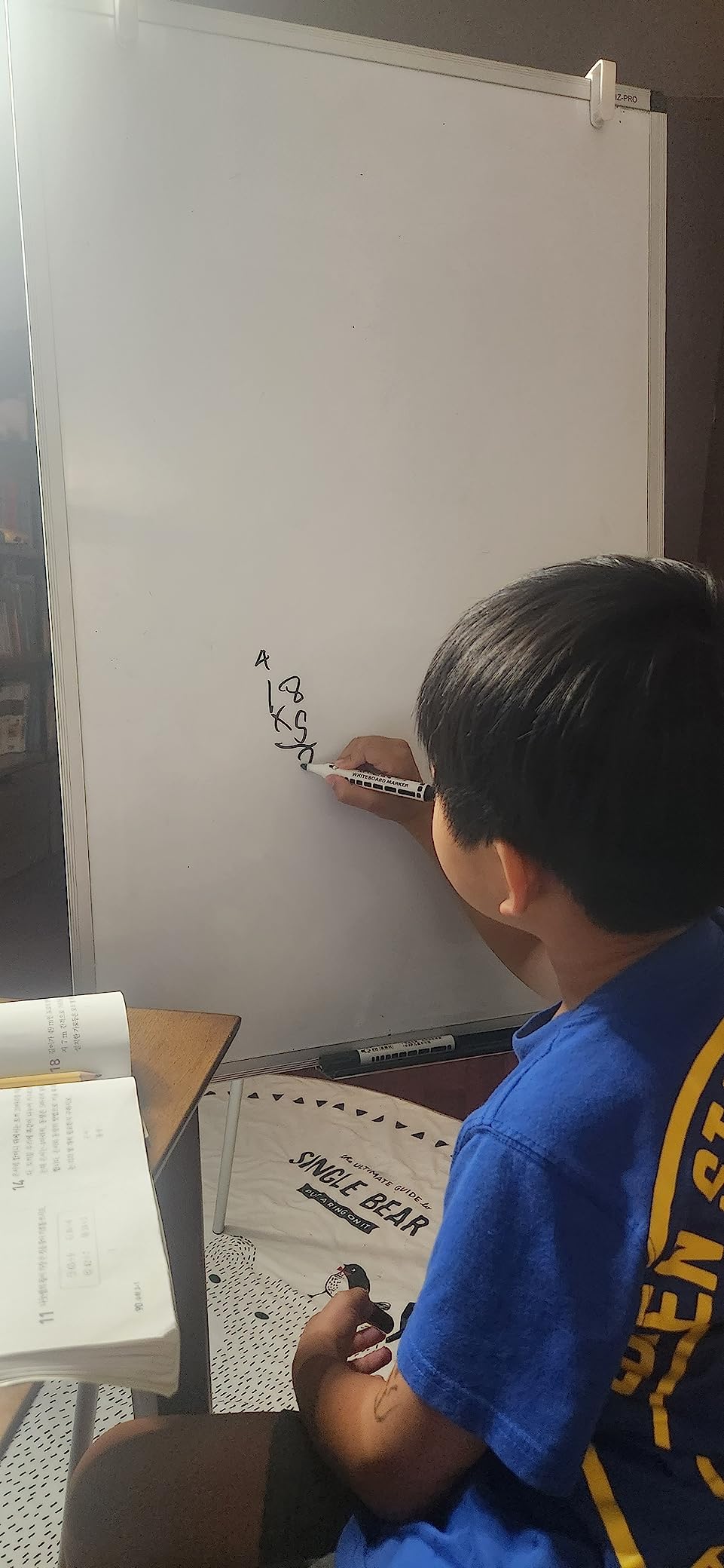 VIZ-PRO Magnetic Portable Easel Dry Erase Board, Flipchart Easel Stand Tripod Whiteboard, 24