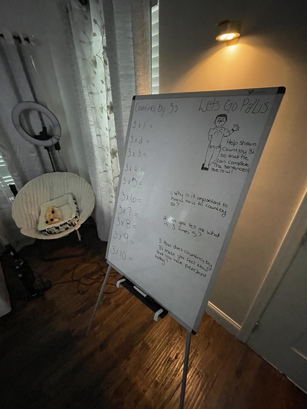 VIZ-PRO Magnetic Portable Easel Dry Erase Board, Flipchart Easel Stand Tripod Whiteboard, 24