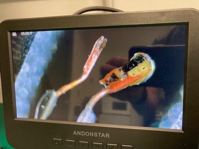 testo 405i Anemometer Handheld for Air Celocity, In-Duct Airflow and Temperature - CFM Meter with Extendable up to 15