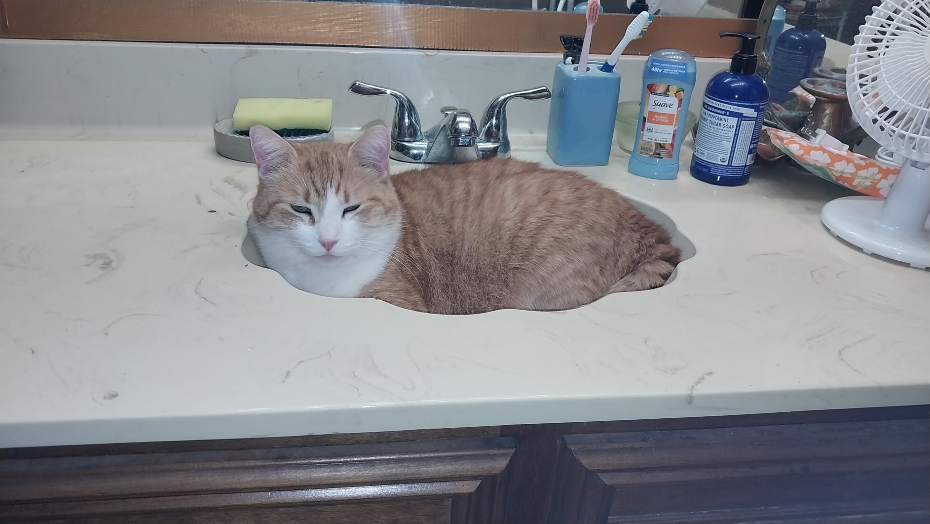 Purina Cat Chow Hairball, Healthy Weight, Indoor, Natural Dry Cat Food, Naturals Indoor - 13 lb. Bag customer photo 2