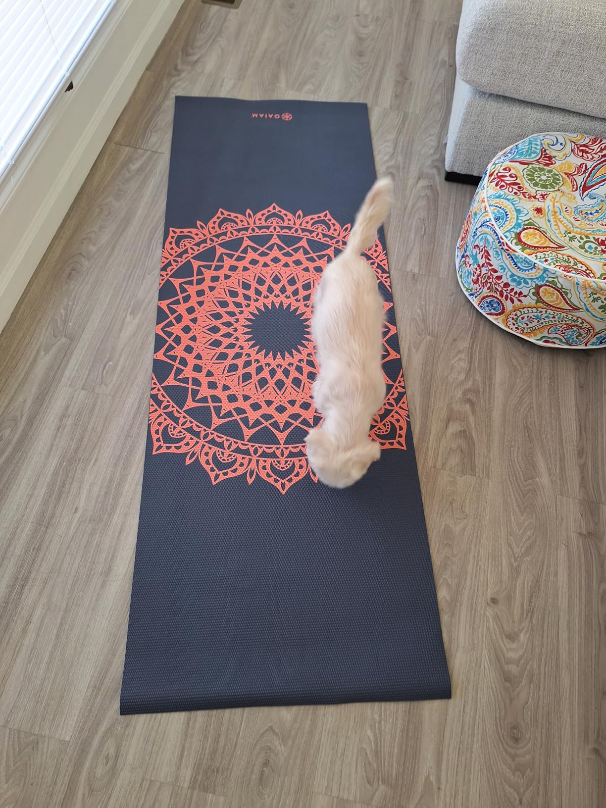 Gaiam Print Yoga Mat, Non Slip Exercise & Fitness Mat for All Types of Yoga, Pilates & Floor Exercises customer photo 2