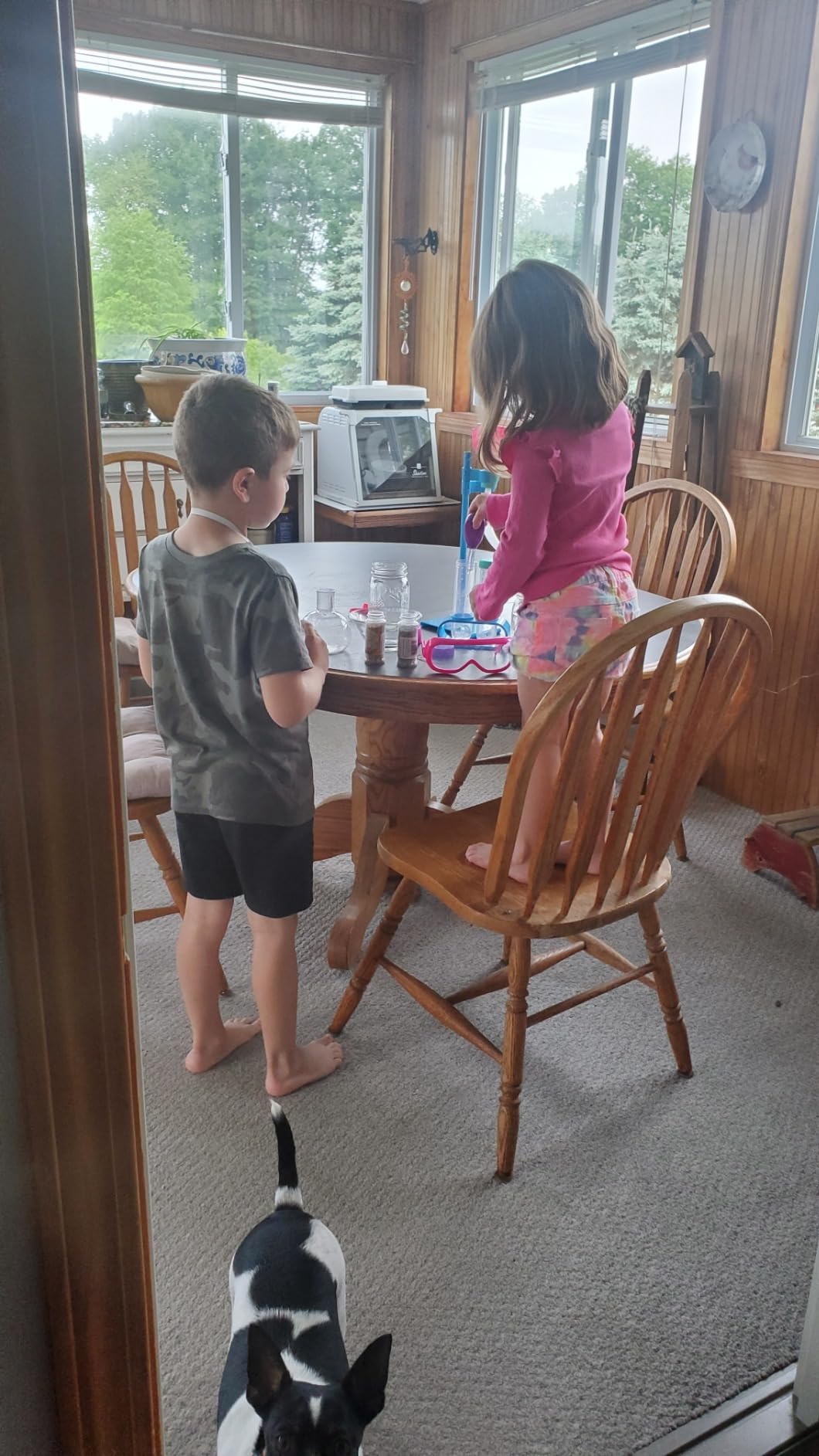 Learning Resources Primary Science Deluxe Lab Set - 45 Pieces, Ages 3+, Preschool Science Kit Toys, STEM Toys, Experiments for Kids customer photo 1