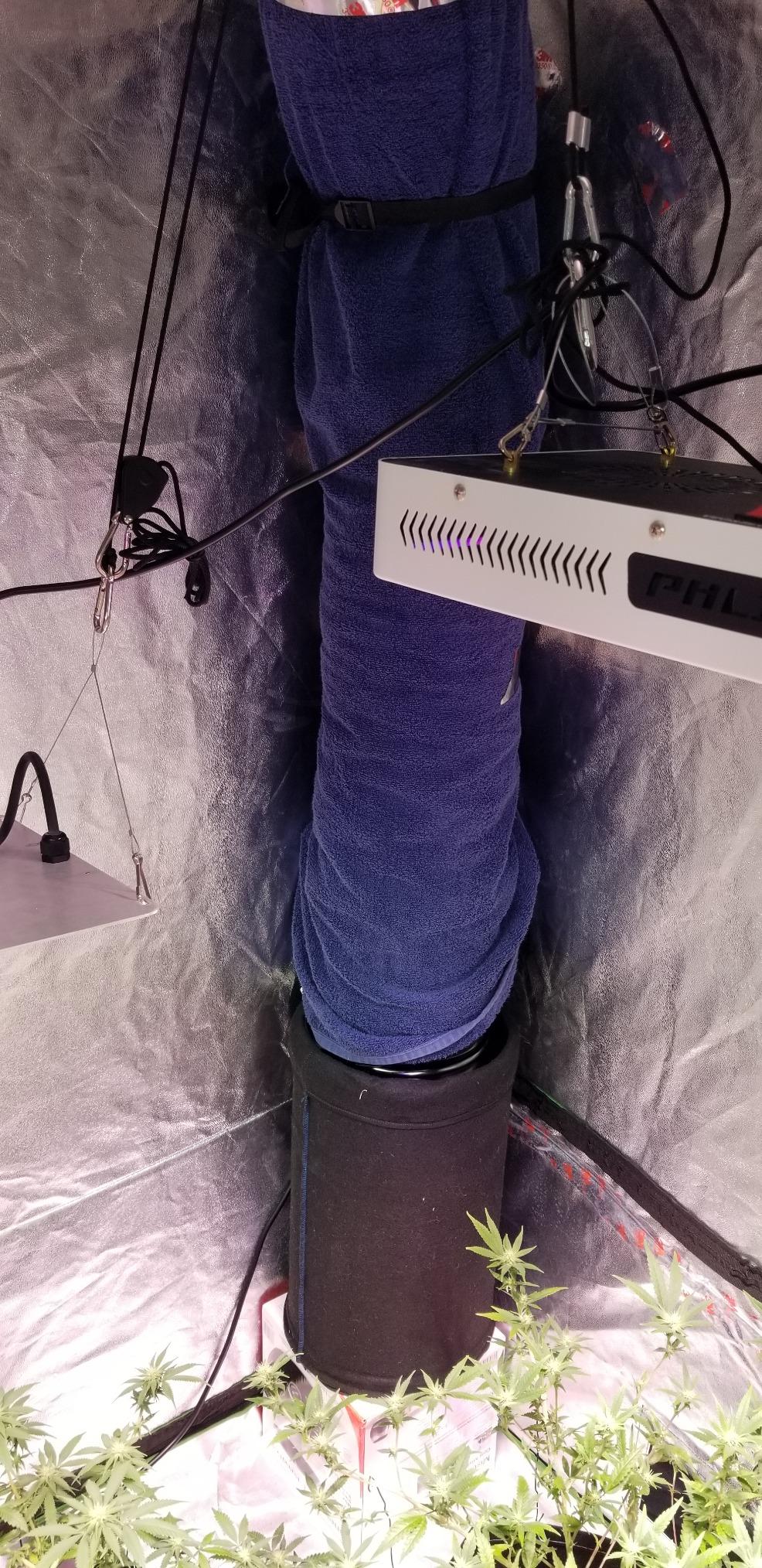 TerraBloom 8 Inch (200 mm) Inline Fan - 735 CFM Exhaust Duct Fan, Built-In Speed Controller, ETL Listed, Pre-Wired 6 FT Grounded Cord - For Use In Grow Tents With Carbon Filters, Fixtures, Attics customer photo 2