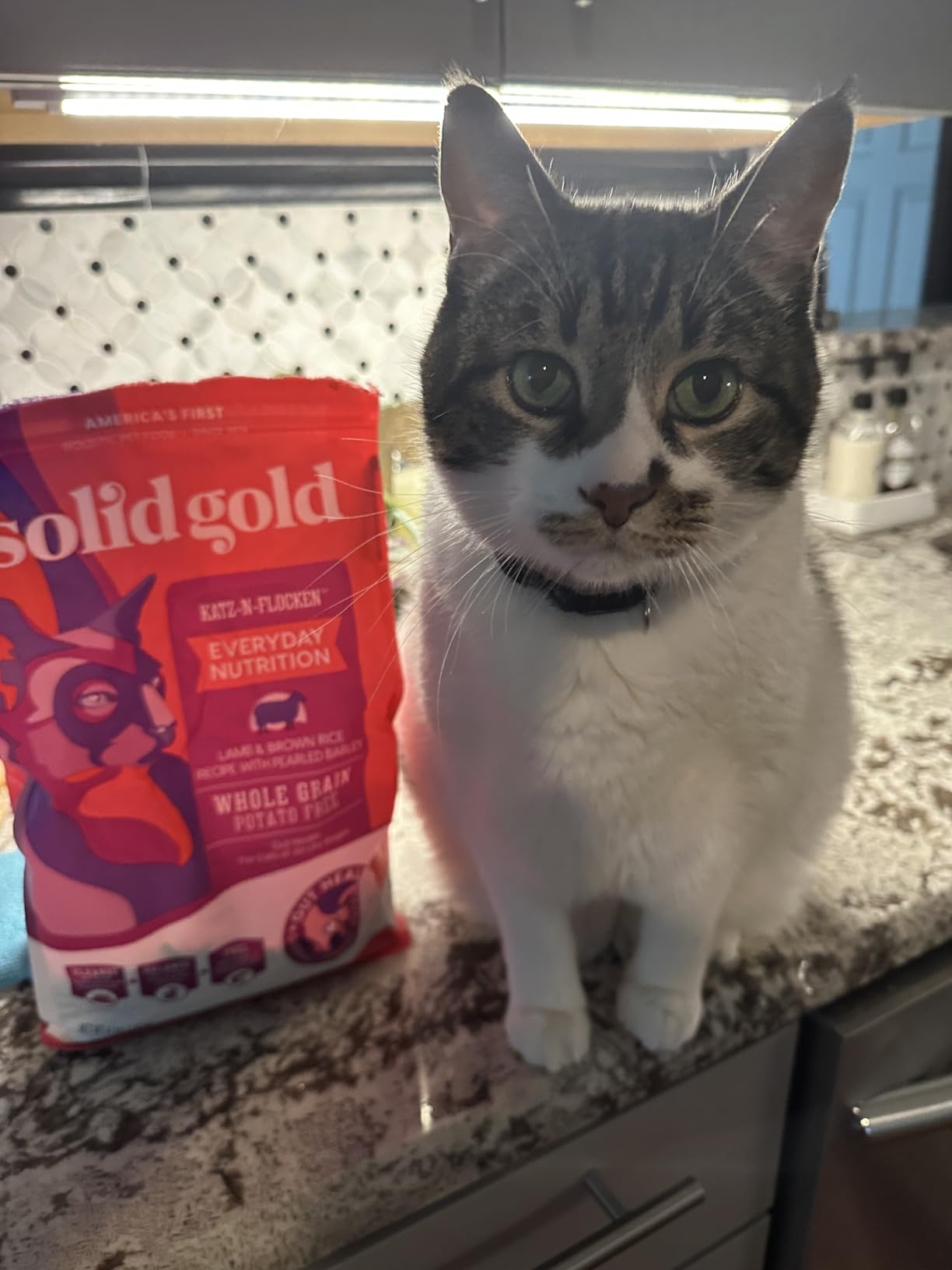 Solid Gold Indoor Dry Cat Food - Grain Free & Gluten Free - Chicken Cat Food Dry Kibble for Indoor Cats w/Probiotics & Fiber for Gut Health - Sensitive Stomach & Hairball Support for Adult Cats - 3LB customer photo 2