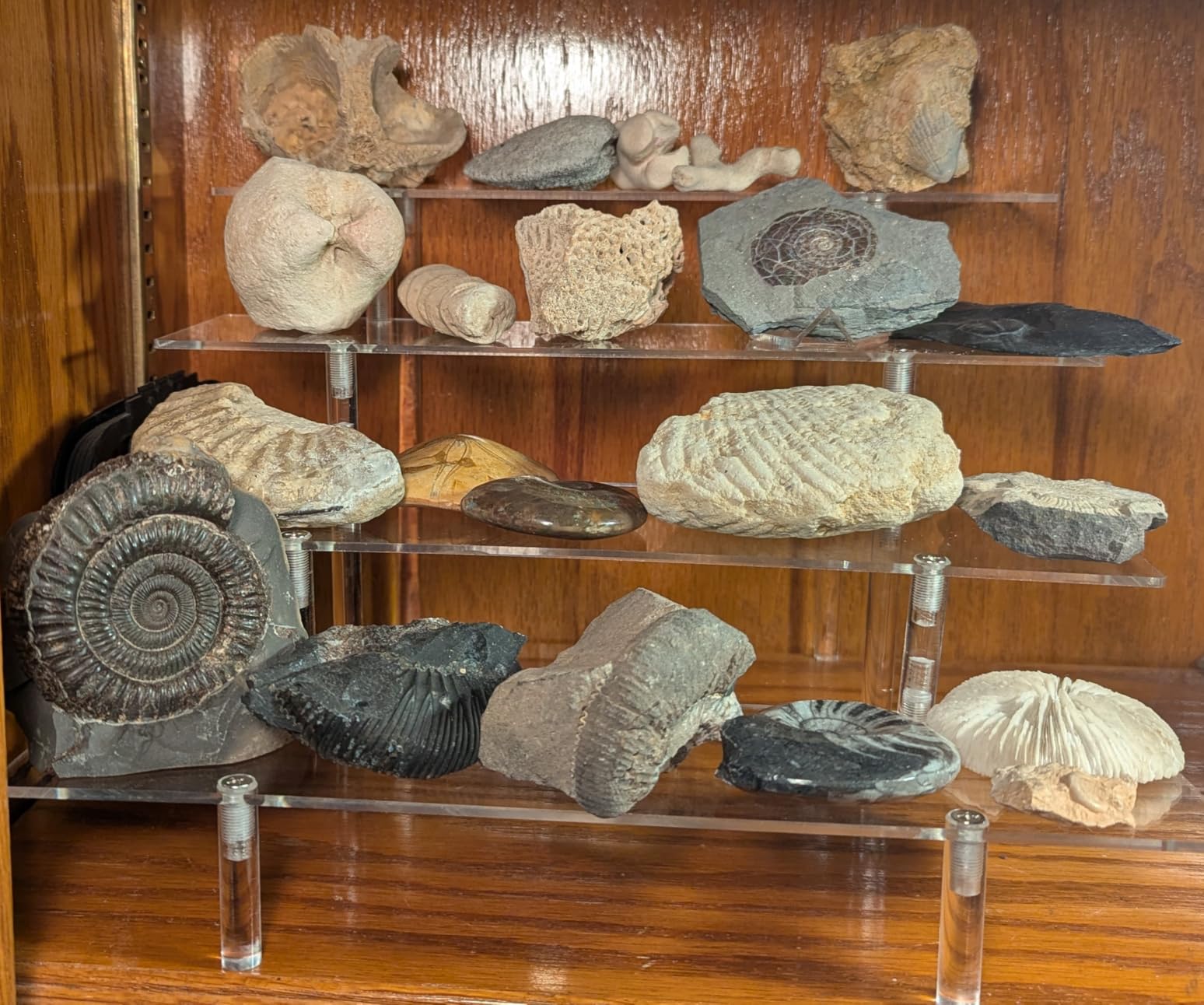 NIUBEE Acrylic Riser Display Shelf, Clear Display Stand for Amiibo Funko POP Figures,4 Tier Cupcakes Stand Perfume Organizer and Storage (9 Inch Small) customer photo 1