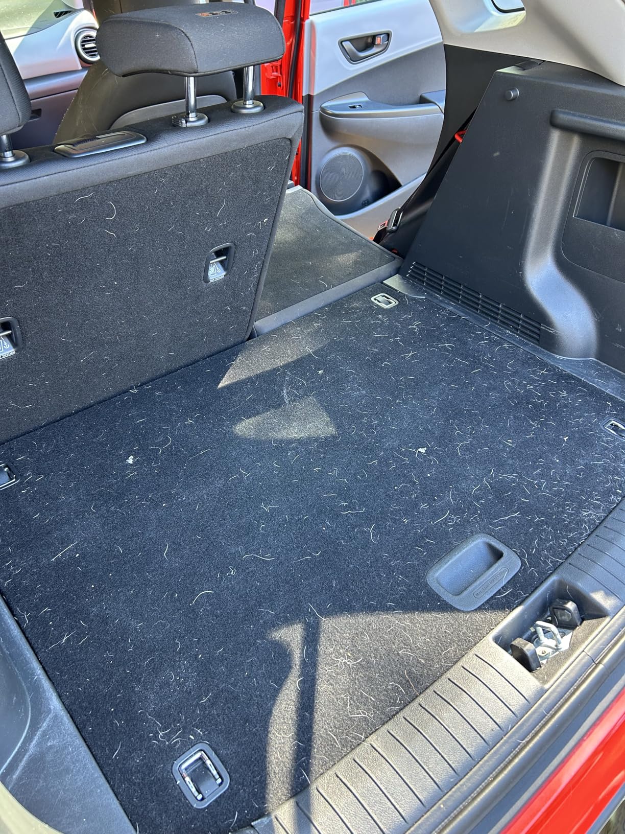 Lilly Brush Mini Pet Hair Detailer | Reusable Fur Remover for Car Interior, Carpet, Couch & Furniture customer photo 2