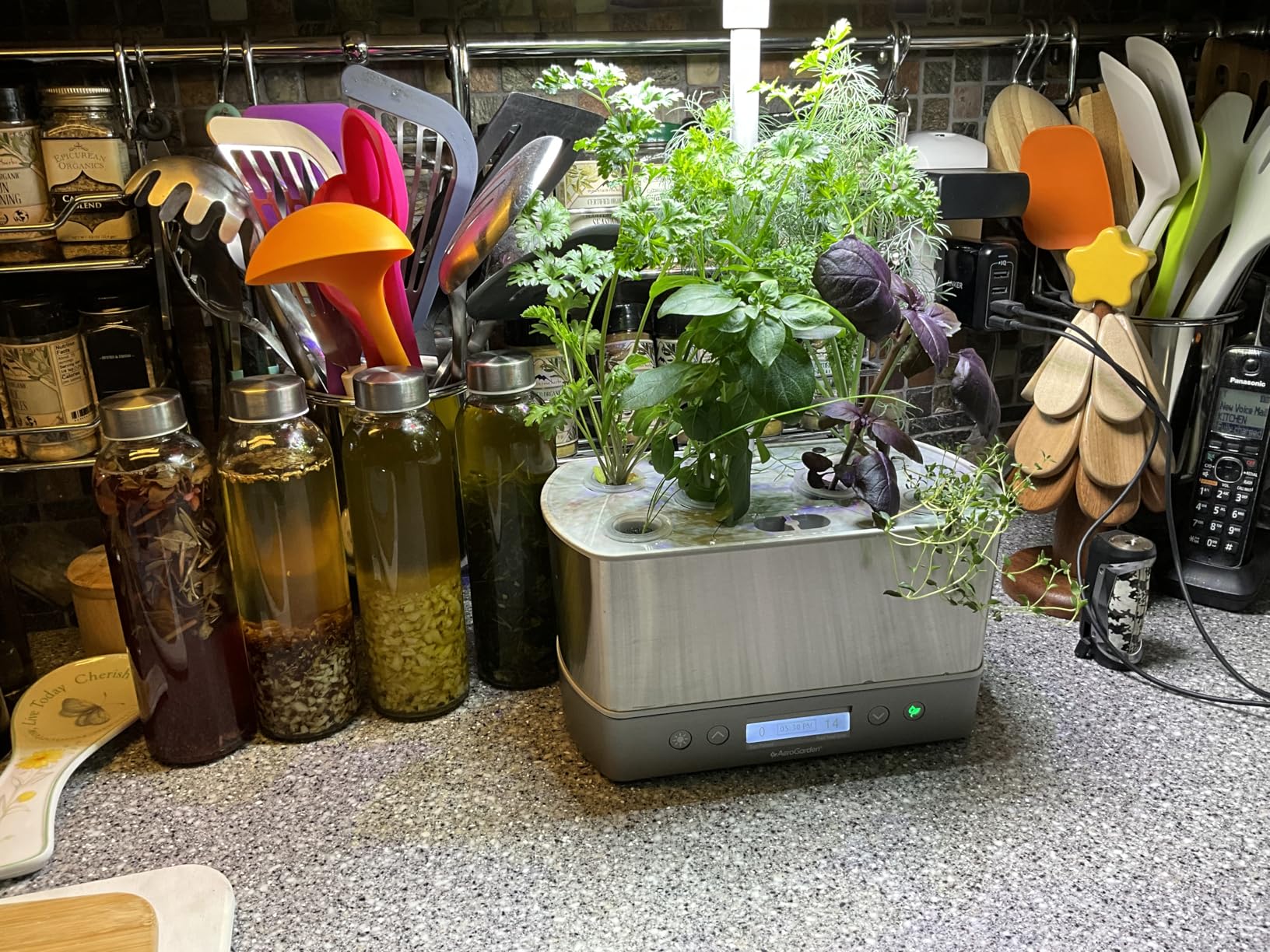AeroGarden Harvest Elite, Stainless Steel | Indoor Garden with LED Grow Light and Seed Pod Kit customer photo 1