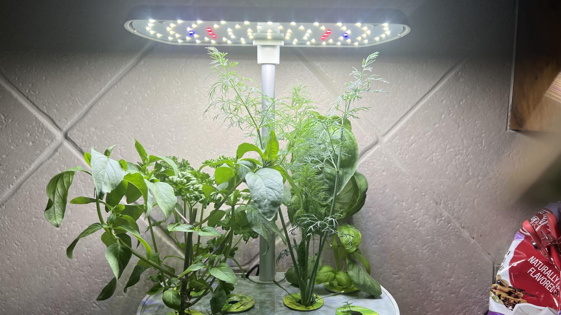 AeroGarden Harvest Elite, Stainless Steel | Indoor Garden with LED Grow Light and Seed Pod Kit customer photo 2