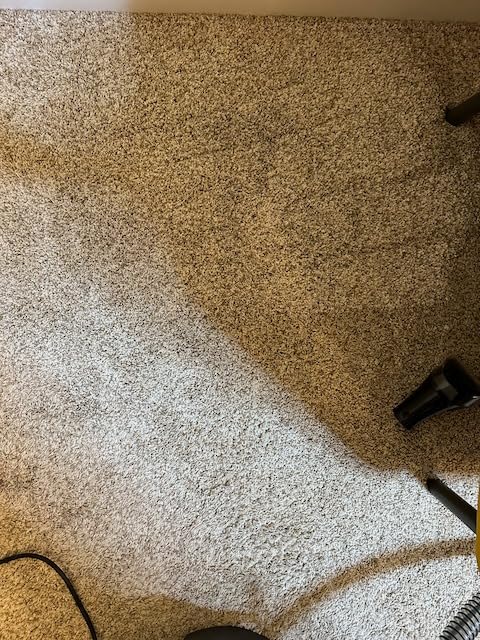 Bissell SpotClean Pet Pro Portable Carpet Cleaner, 2458 customer photo 2