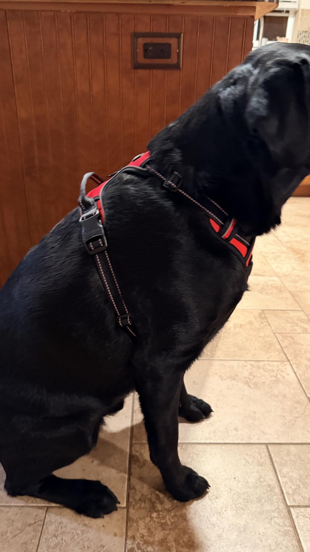 BARKBAY No Pull Dog Harness Front Clip Heavy Duty Reflective Easy Control Handle for Large Dog Walking(Black,L) customer photo 2