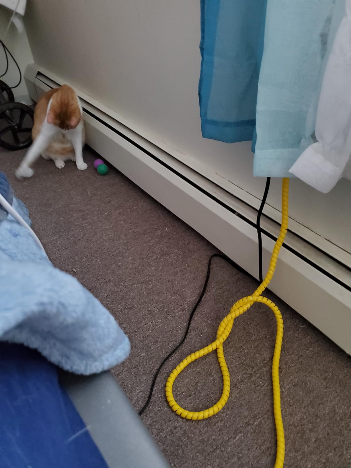 Dog and Cat Cord Protector 32.8ft Wire Protector Sleeve Covers for Cord Protects Your Pets from Chewing Through Insulated Cables 5 PCS/Pack 32.8ft in Total 10mm Width by FUNZON customer photo 1