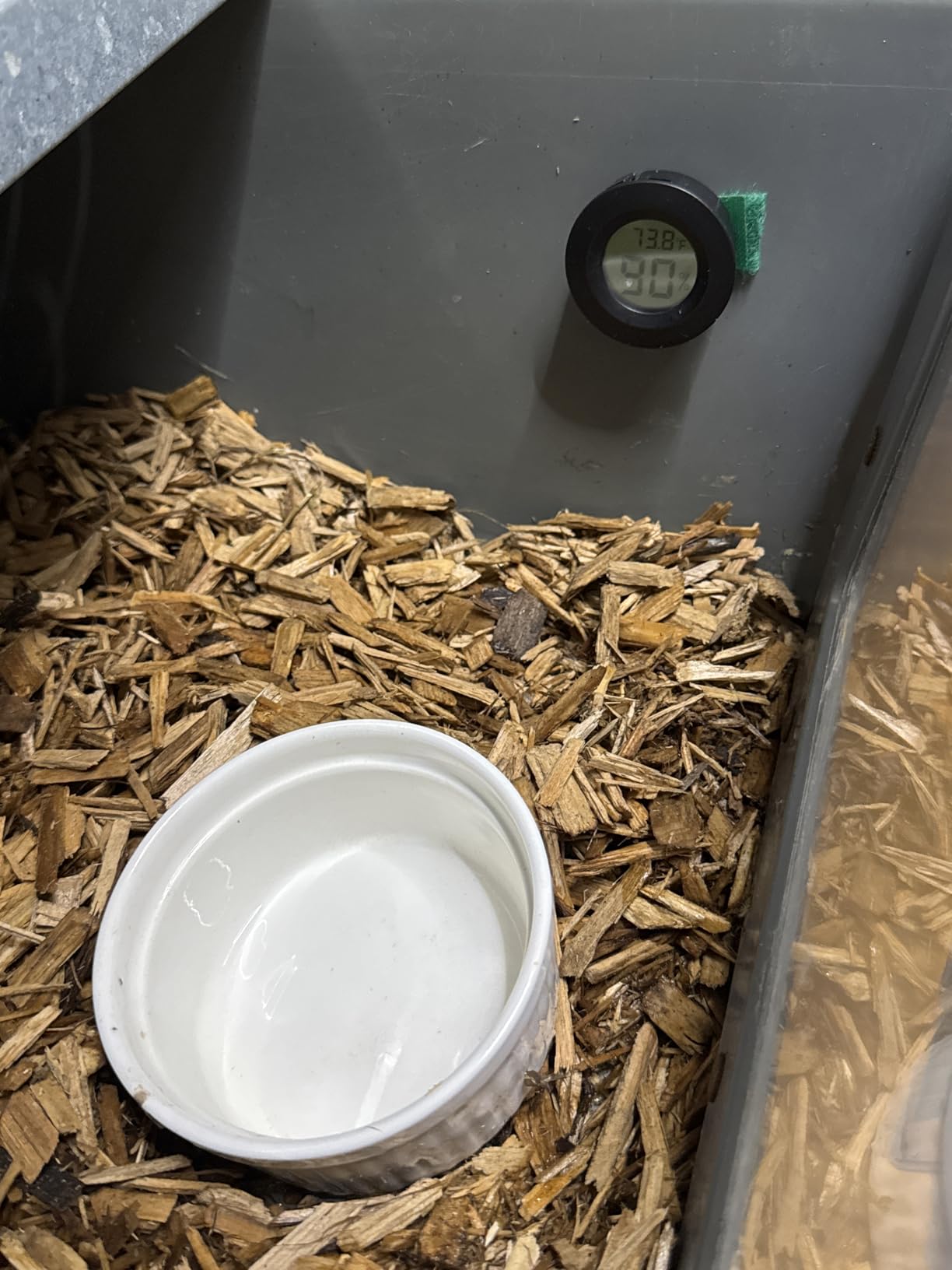 2 Pack Hygrometer Thermometer Digital Humidity Meter Indoor/Outdoor Humidity Monitor Reptile Thermo-Hygrometer for Greenhouse Humidors Terrarium Jars, Fahrenheit (℉) /Celsius(℃) (2) customer photo 1