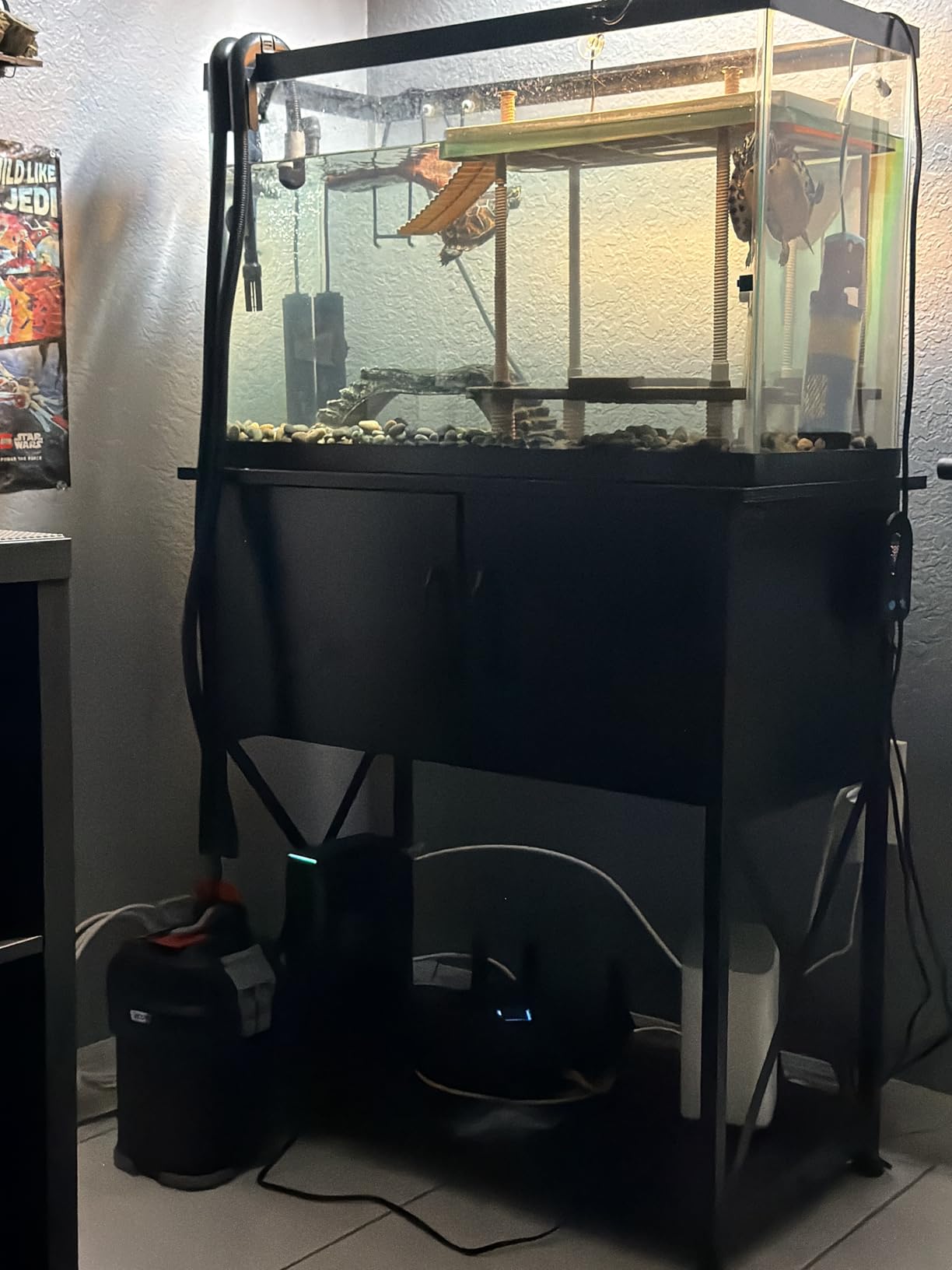Fluval 107 Performance Canister Filter - for Aquariums Up to 30 Gallons - Aquarium Canister Filter customer photo 2
