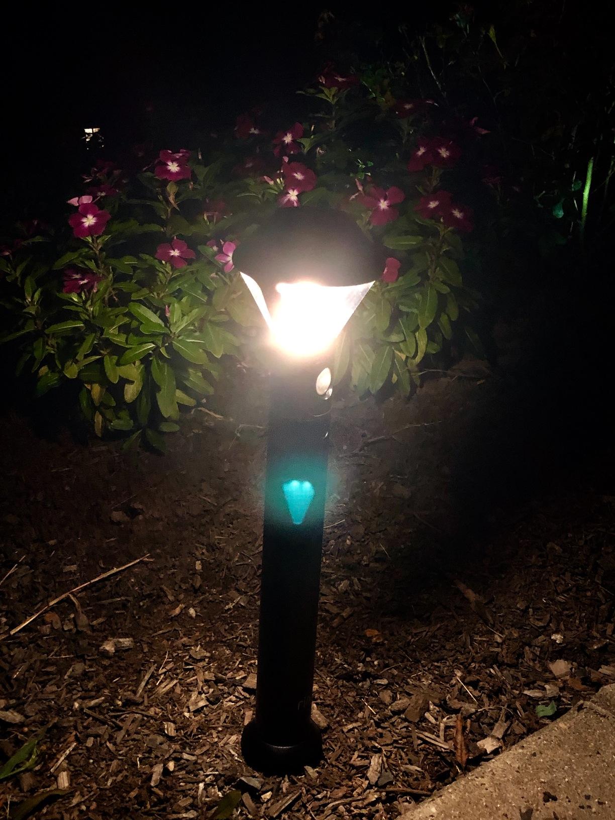 Ring Pathlight Battery - Motion-activated pathlight, bright LEDs, works with Amazon Sidewalk, Black customer photo 2