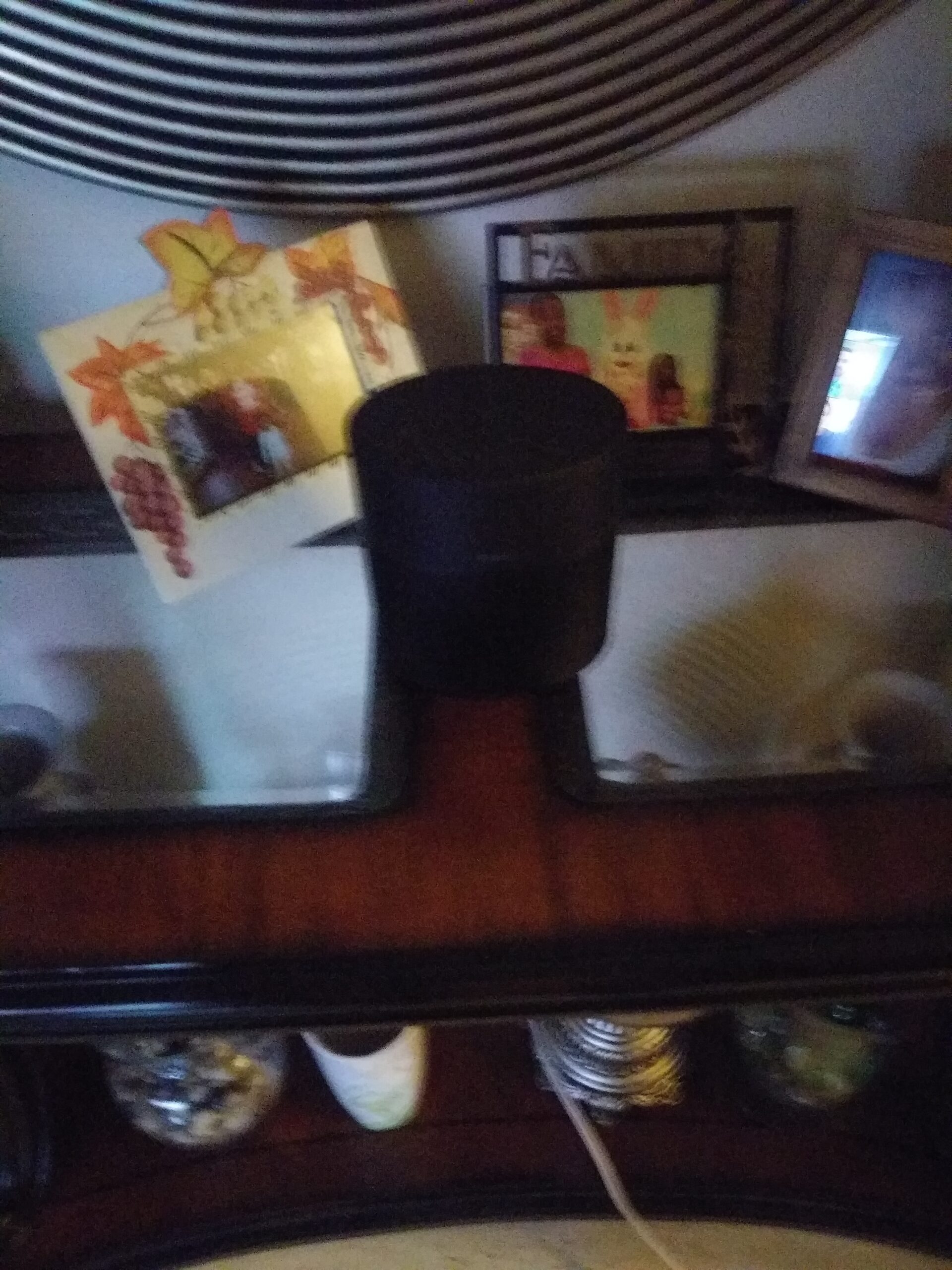 Bose Home Speaker 300: Bluetooth Smart Speaker with Amazon Alexa Built-in, Black customer photo 1