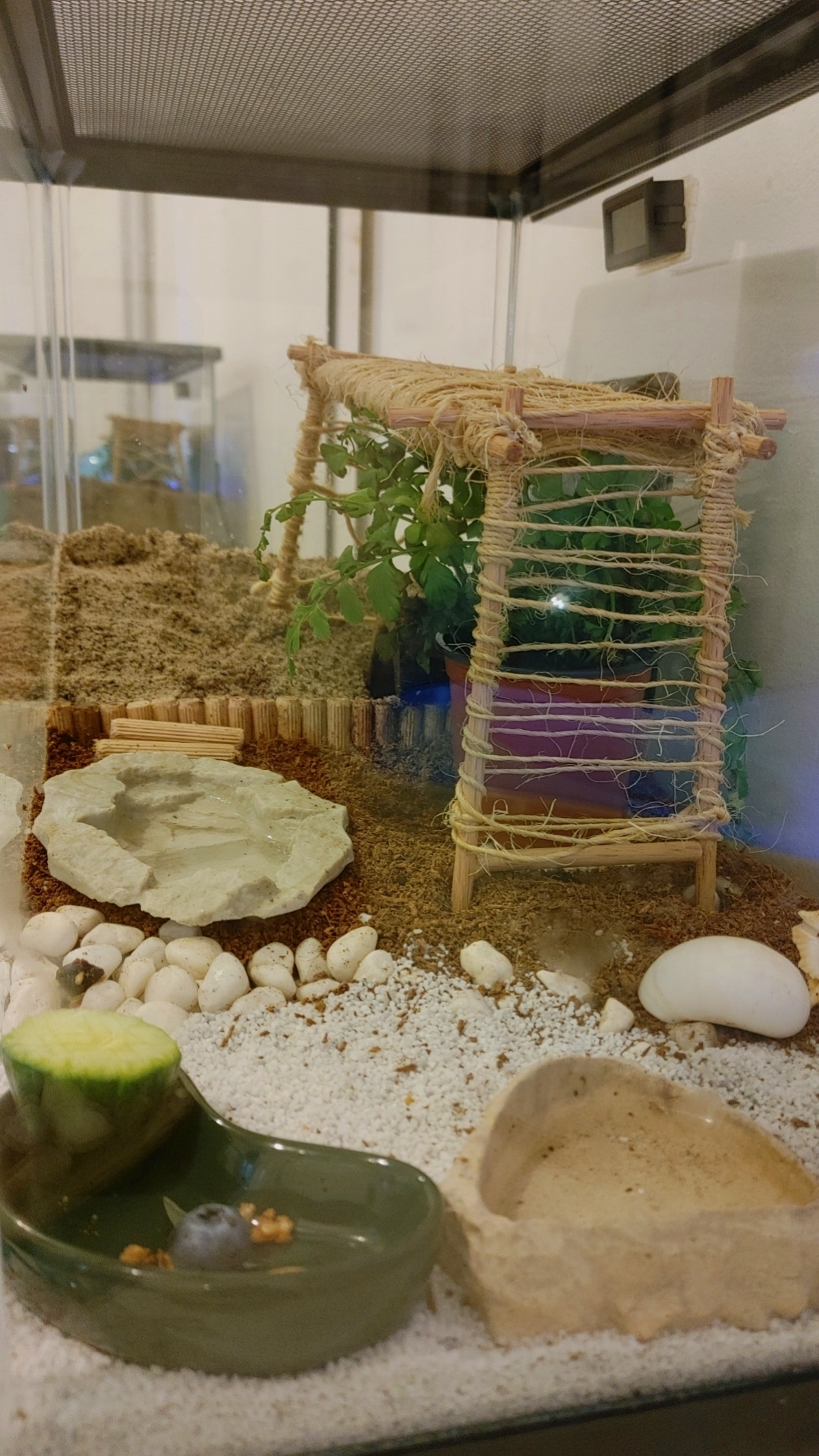 Goabroa Mini Hygrometer Thermometer Digital Indoor Humidity Gauge Monitor with Temperature Meter Sensor Fahrenheit (°F) customer photo 2