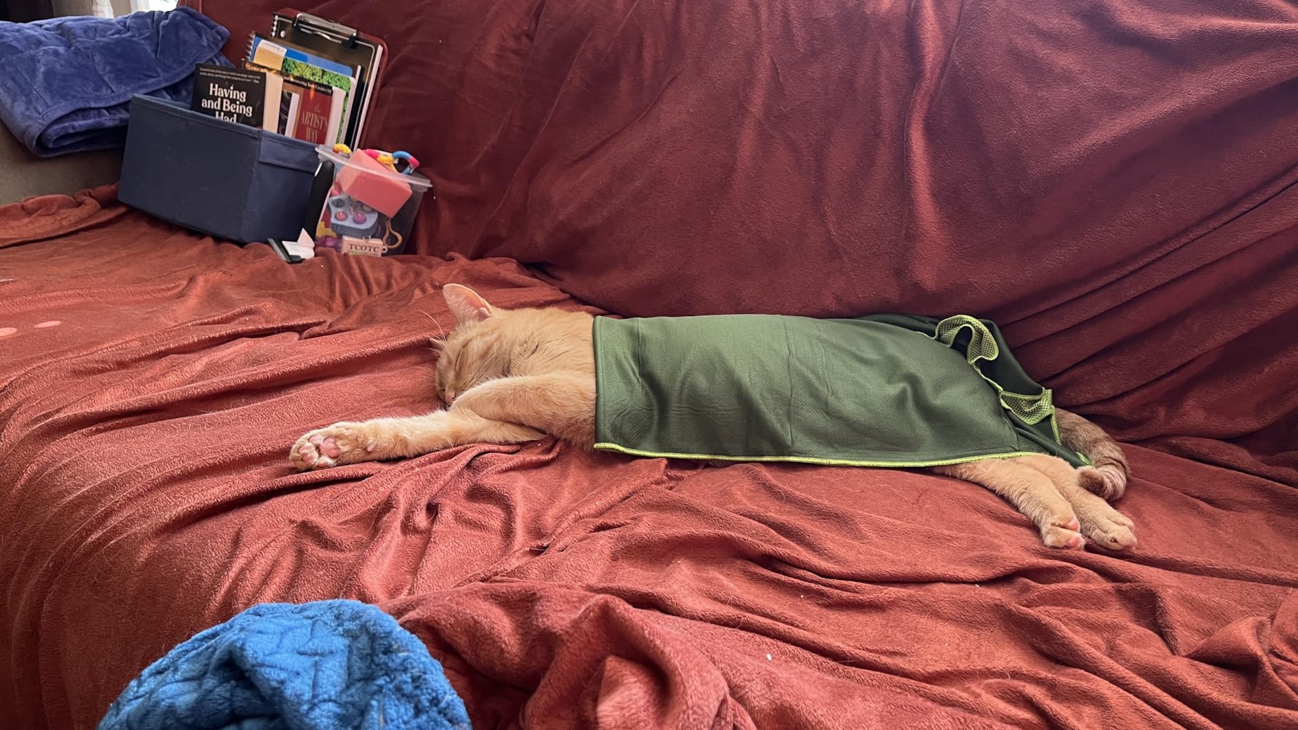 4 Packs Cooling Towel (40