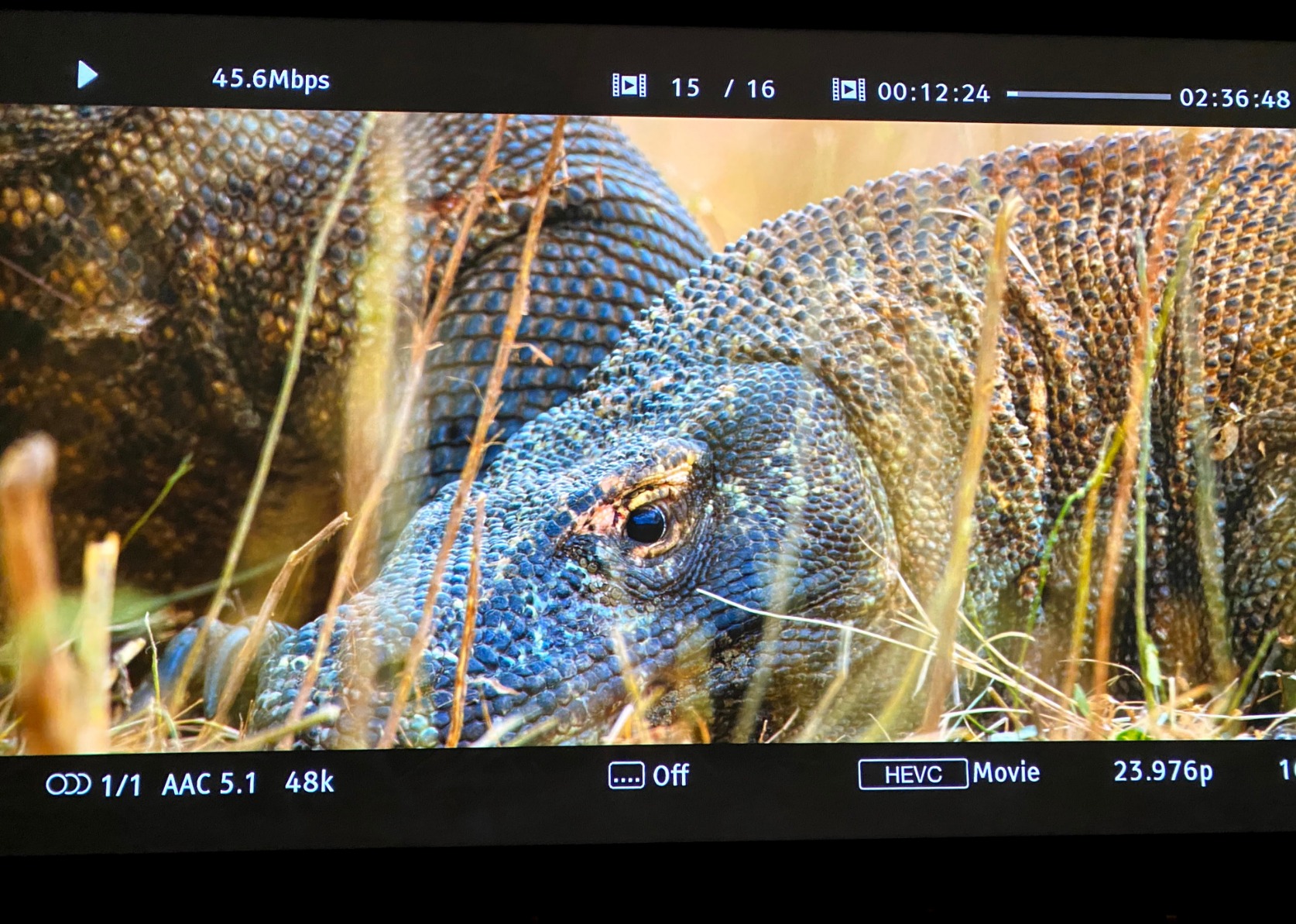 Zeskit Certified 2.1 8K HDMI Cable 48Gbps 4K120Hz Compatible with Soundbar eARC HDR10 VRR Dolby Vision Atmos HDCP 2.2 & 2.3 Gaming PS5 Xbox Series X Apple TV Roku Monitor (Ultra High Speed Maya 6ft) customer photo 2