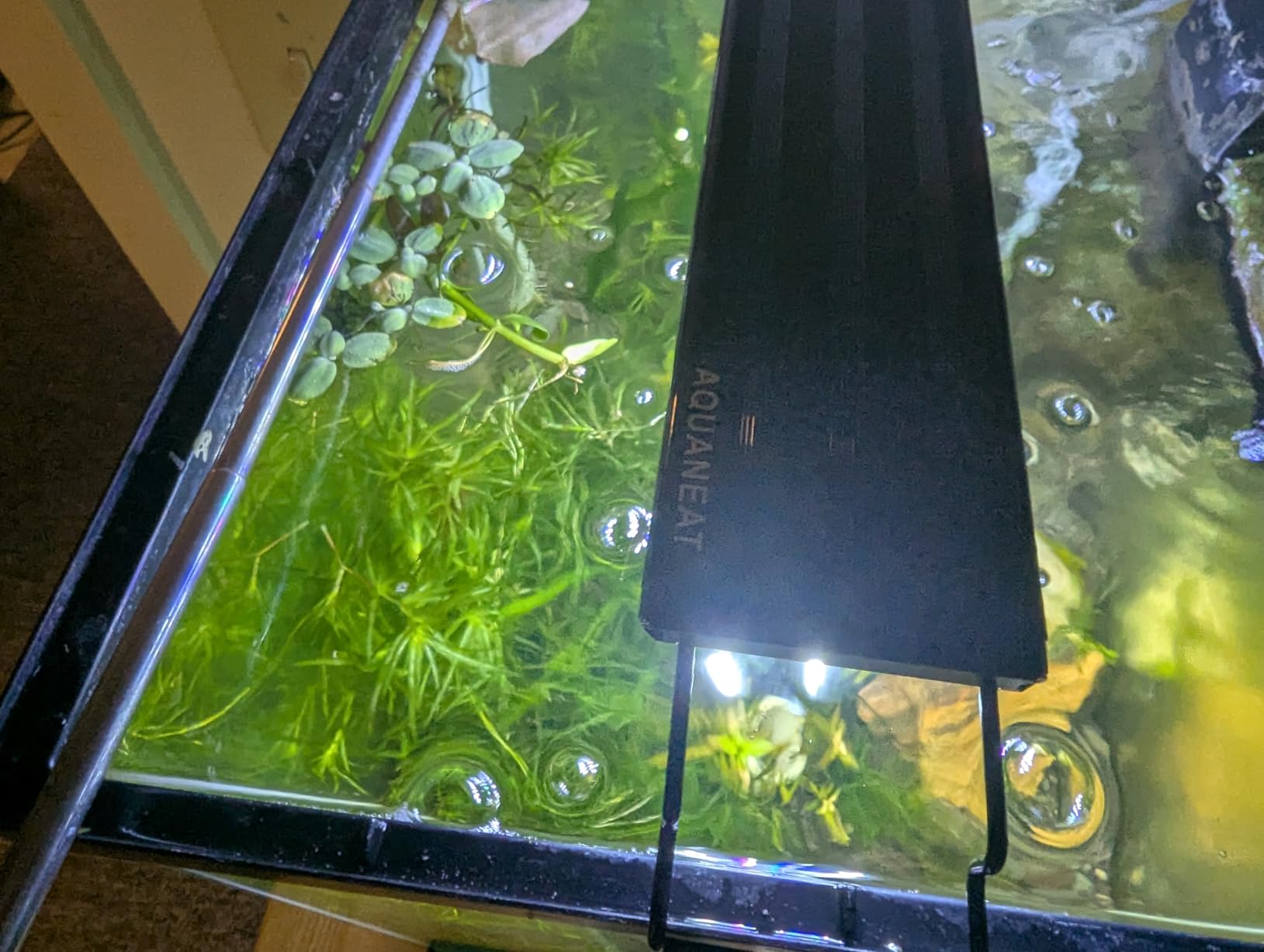 AQUANEAT LED Aquarium Light Full Spectrum for 18 Inch to 24 Inch Fish Tank Light Fresh Water customer photo 1