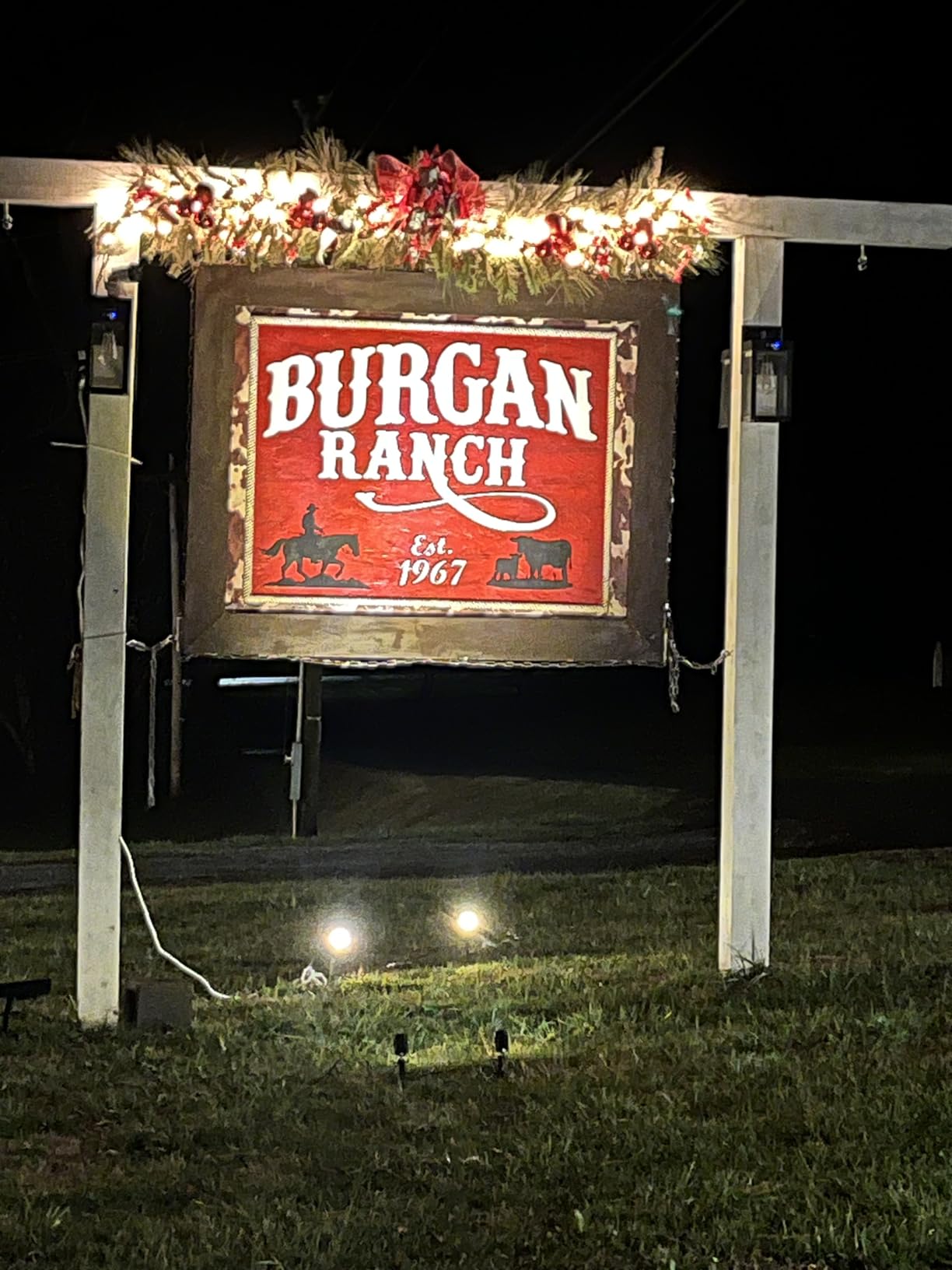 APONUO Metal Solar Spot Lights Outdoor with 9.8ft Cable Solar Powered Landscape Lighting Low Voltage IP65 Waterproof Auto On/Off for Outside Garden Yard Landscape Pathway Garage-Warm White(4-in-1) customer photo 1