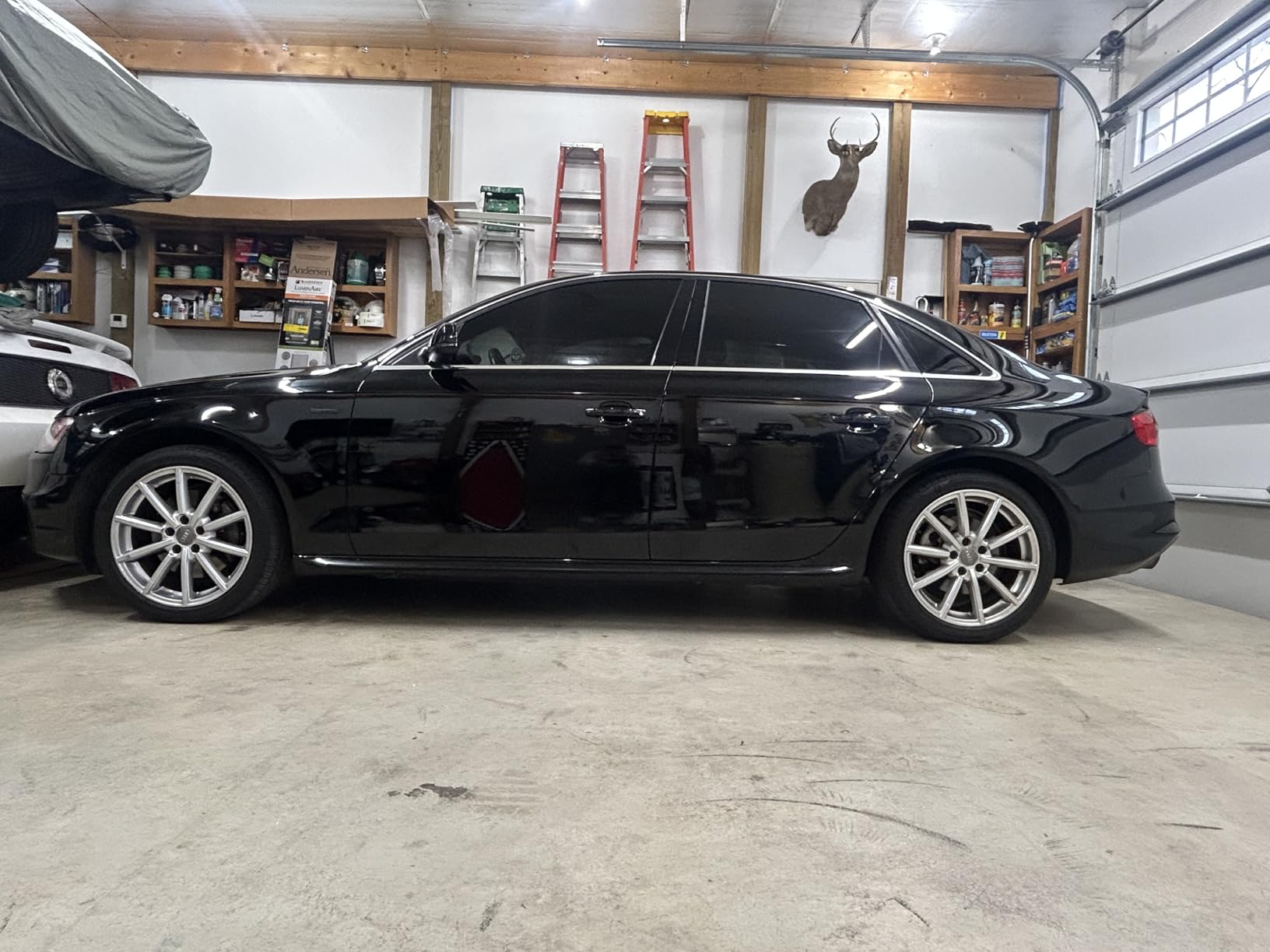 Adam's Polishes Swirl Killer 12mm Polisher - Orbital Polishing Paint Correcting Buffer Tool - Car Scratch Remover - Use Post Car Wash Clay Bar & Pre Wax or Ceramic Coating customer photo 2