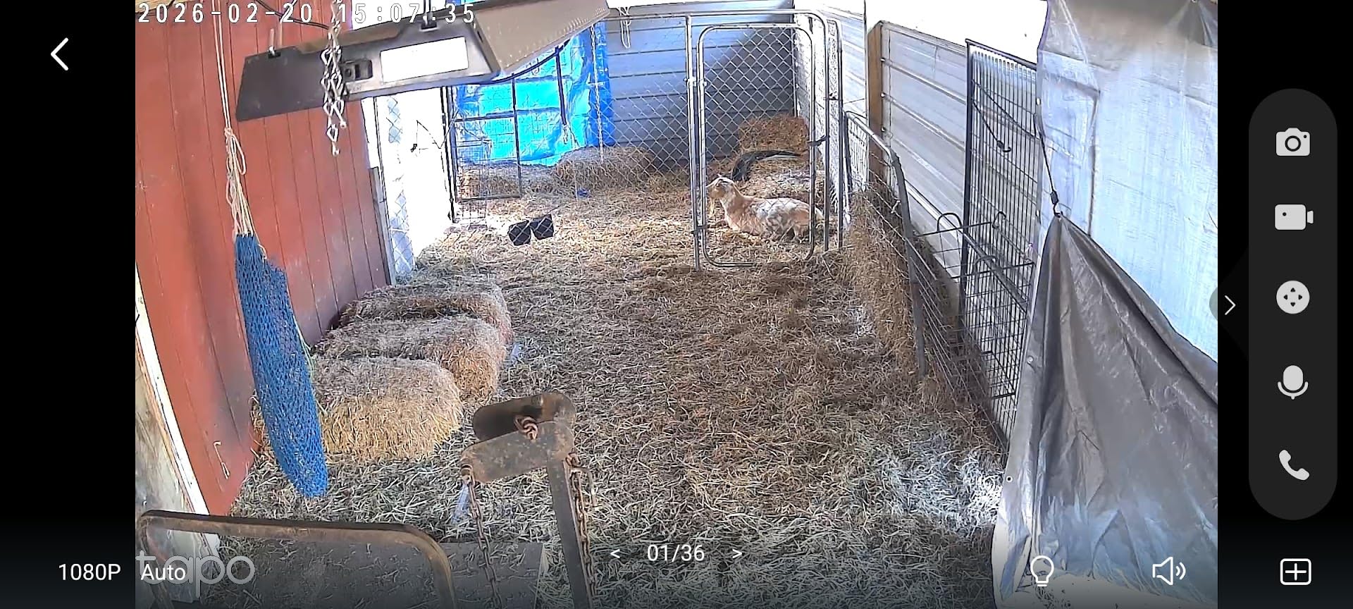 TP-Link Tapo Pan/Tilt Security Camera for Baby Monitor, Pet Camera w/Motion Detection, 1080P, 2-Way Audio, Night Vision, Cloud & SD Card Storage, Works with Alexa & Google Home (Tapo C200) customer photo 2