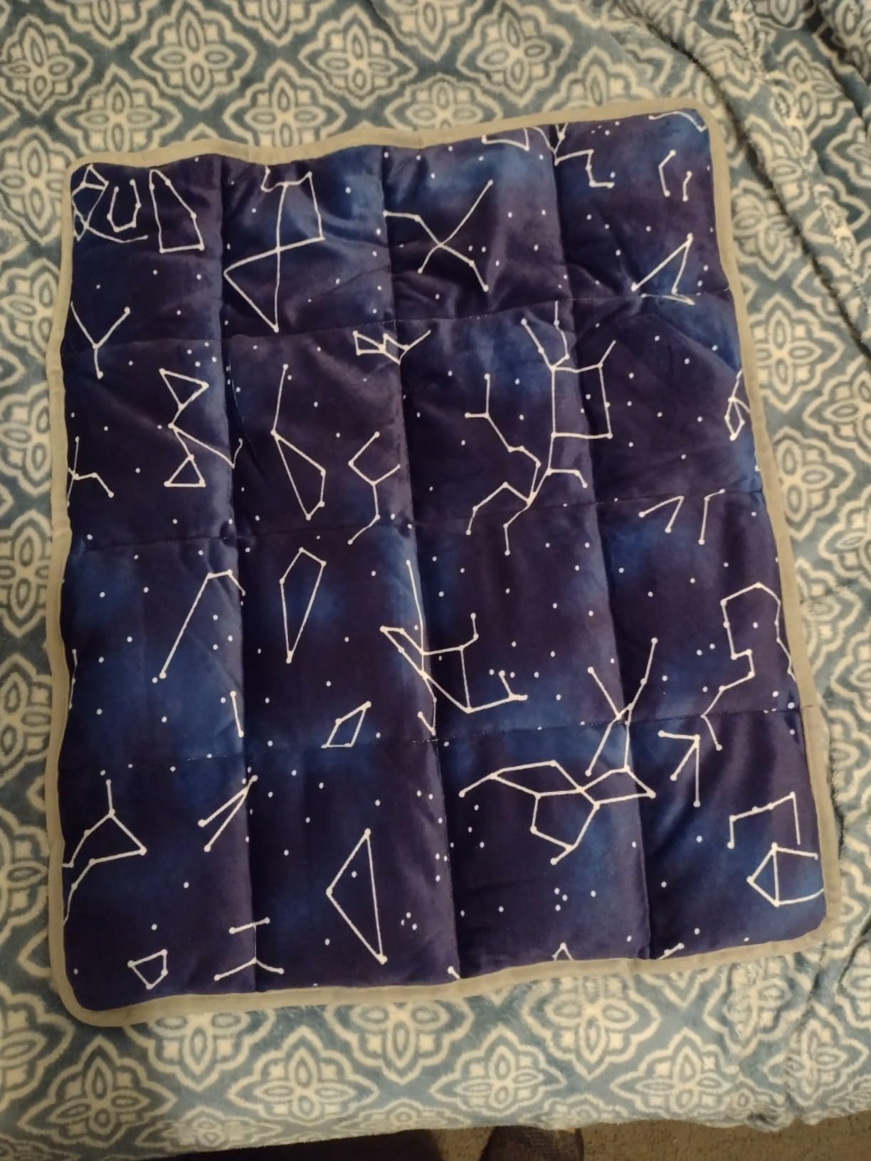 Florensi Weighted Lap Pad - 20