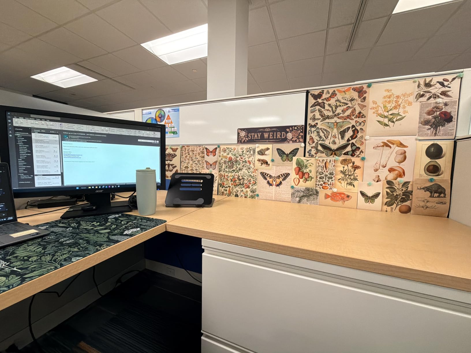 iCasso Desk Mat, Big Desk Pad, XXL Extended Gaming Mouse Pad, Large Mouse Pad for Desk Protector, Rubber Base Mousepad with Stitched Edges, Keyboard Mouse Mat for Work, Game, Office, Home - Weeds customer photo 2