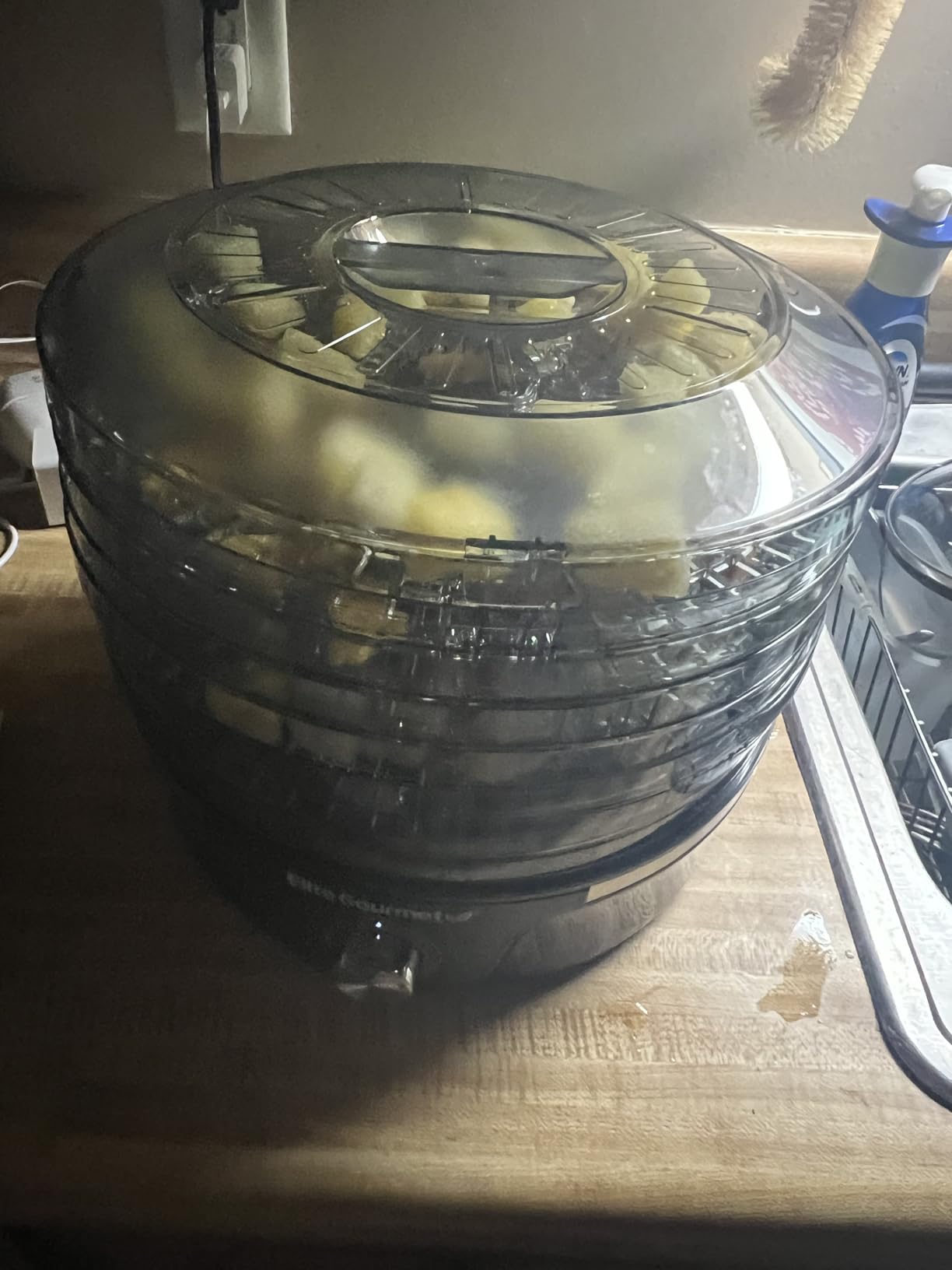 Elite Gourmet EFD319 Food Dehydrator, 5 BPA-Free 11.4