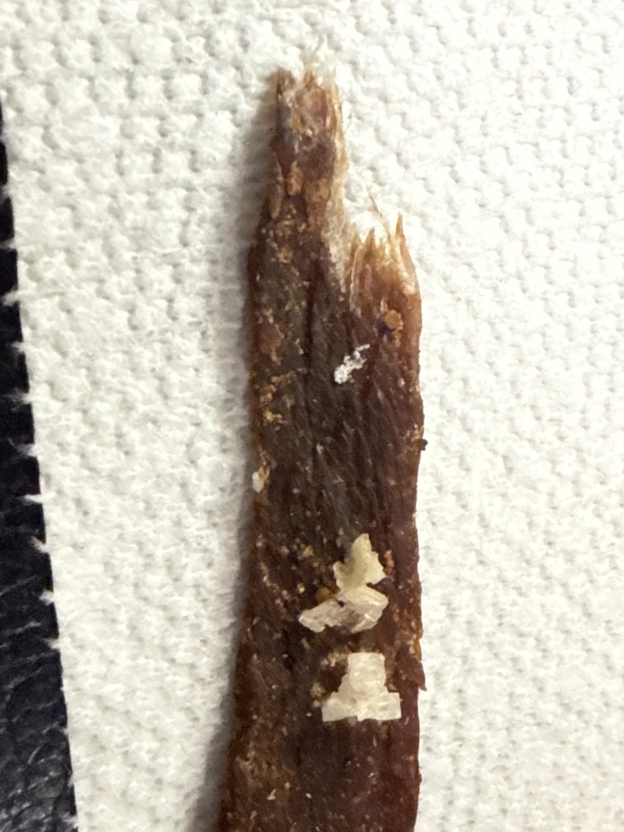 Elite Gourmet Food Dehydrator, Stainless Steel Trays Food Dehydrator, Adjustable Temperature Controls, Jerky Herbs Fruit Veggies Snacks customer photo 1