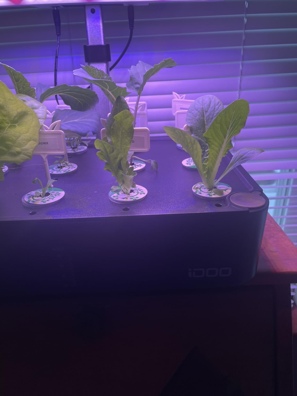 iDOO 12Pods Hydroponics Growing System Garden with LED Grow Light | Indoor Herb Garden for Home Office, Built-in Fan, Auto-Timer, Adjustable Height Up to 11.3