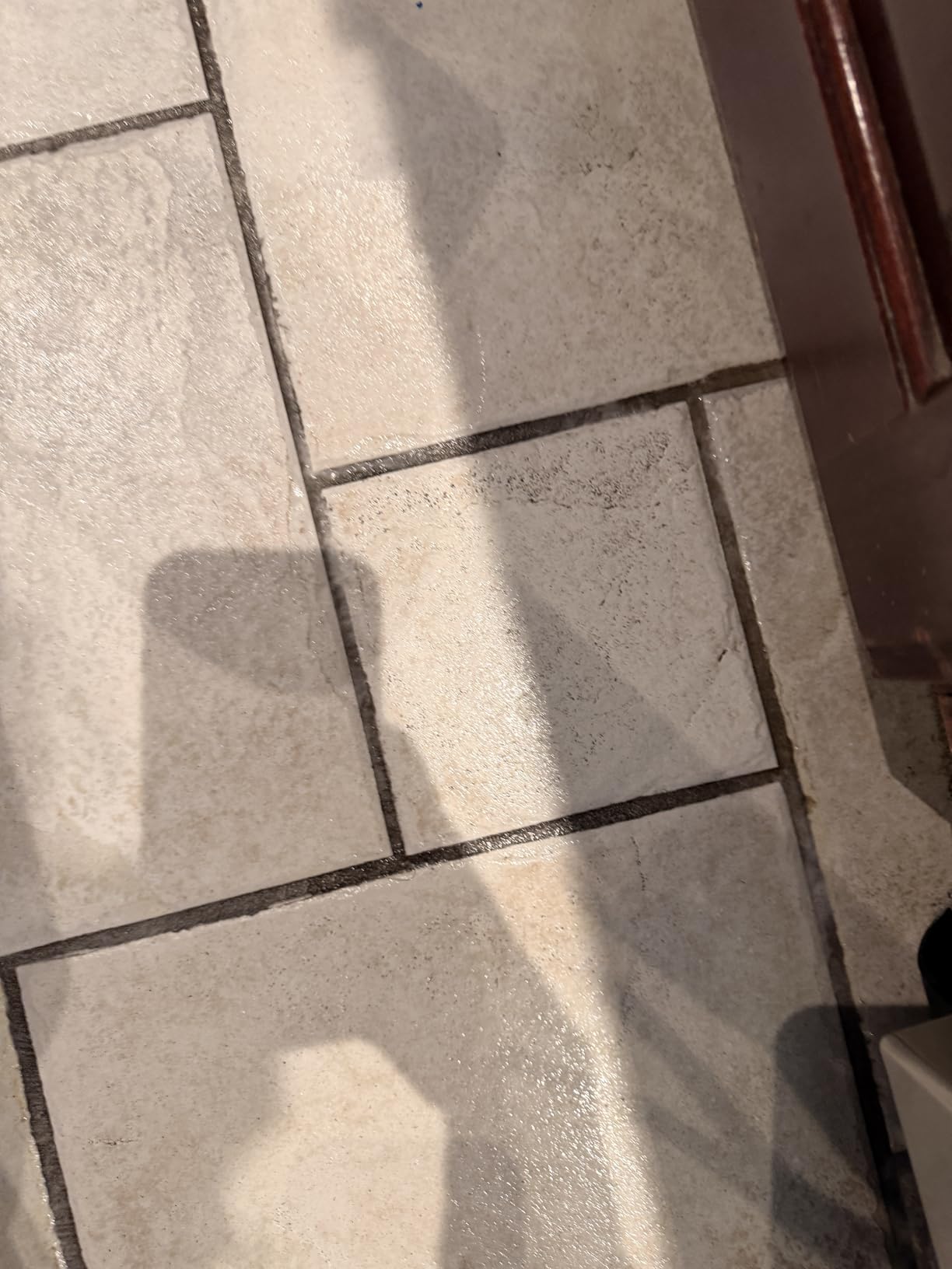 BISSELL SpinWave Pet Hard Floor Corded Spin Mop Cleaner with Washable mop Pads for Sealed Hard Floors, 20399 customer photo 1