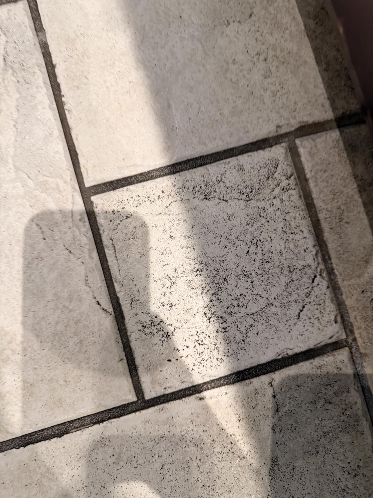 BISSELL SpinWave Pet Hard Floor Corded Spin Mop Cleaner with Washable mop Pads for Sealed Hard Floors, 20399 customer photo 2