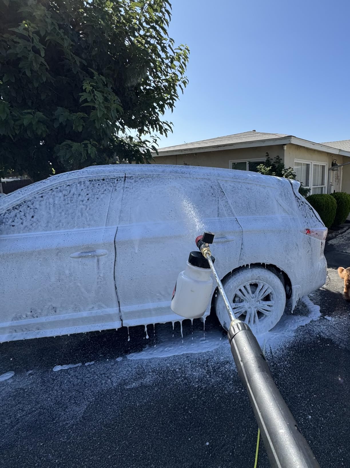 Adam's Polishes Premium Foam Cannon - Soap Sprayer for Car Wash | Sprayer Cannister for Pressure Washer 1/4