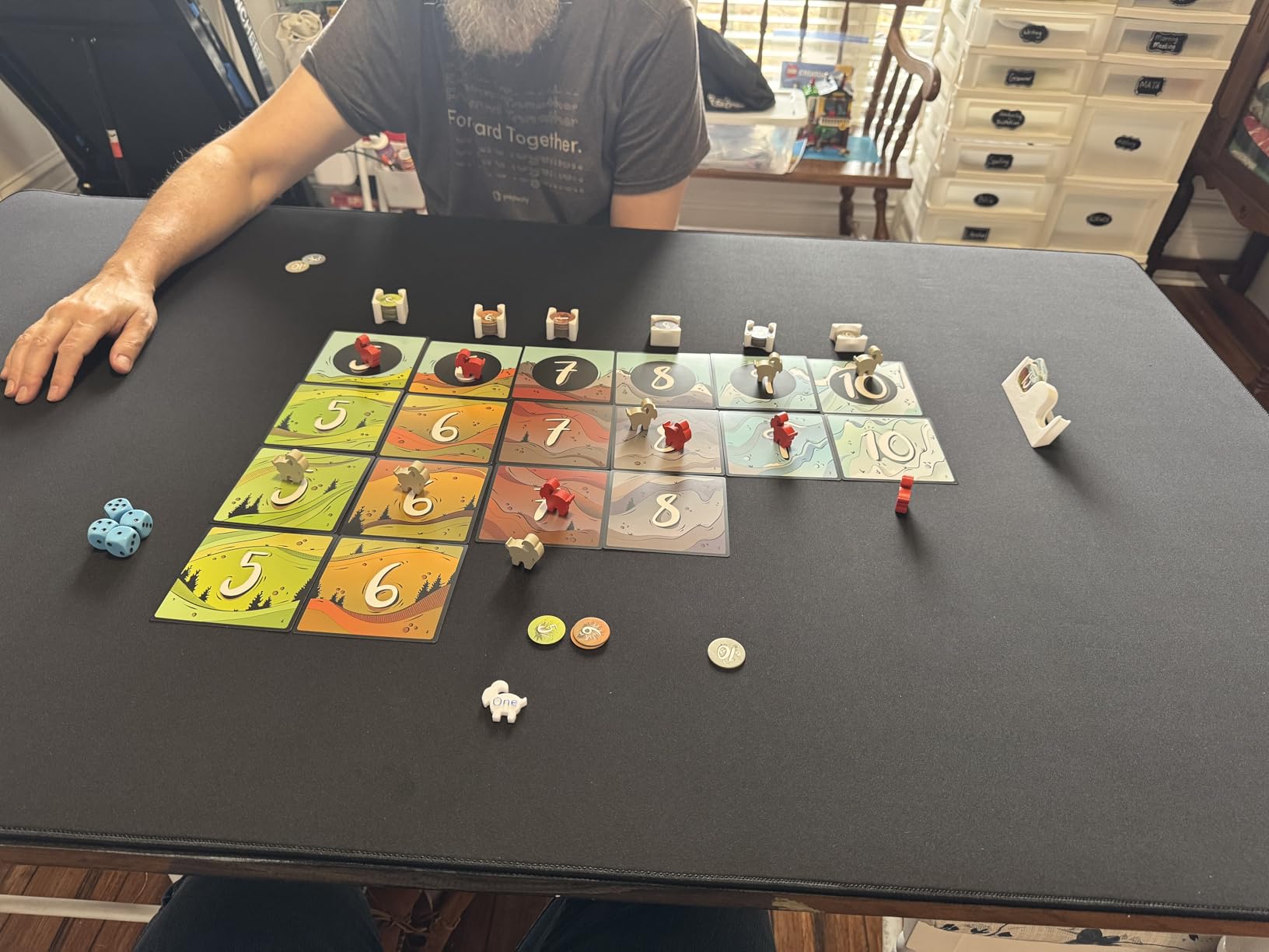 Board Game Playmat [3'x5'/Thick Super Cushioned/Stitched Edge/Water Resistant] with Carrying Case - for Tabletop Board Games, Card Games, RPG Games (Medium, Blue) customer photo 1