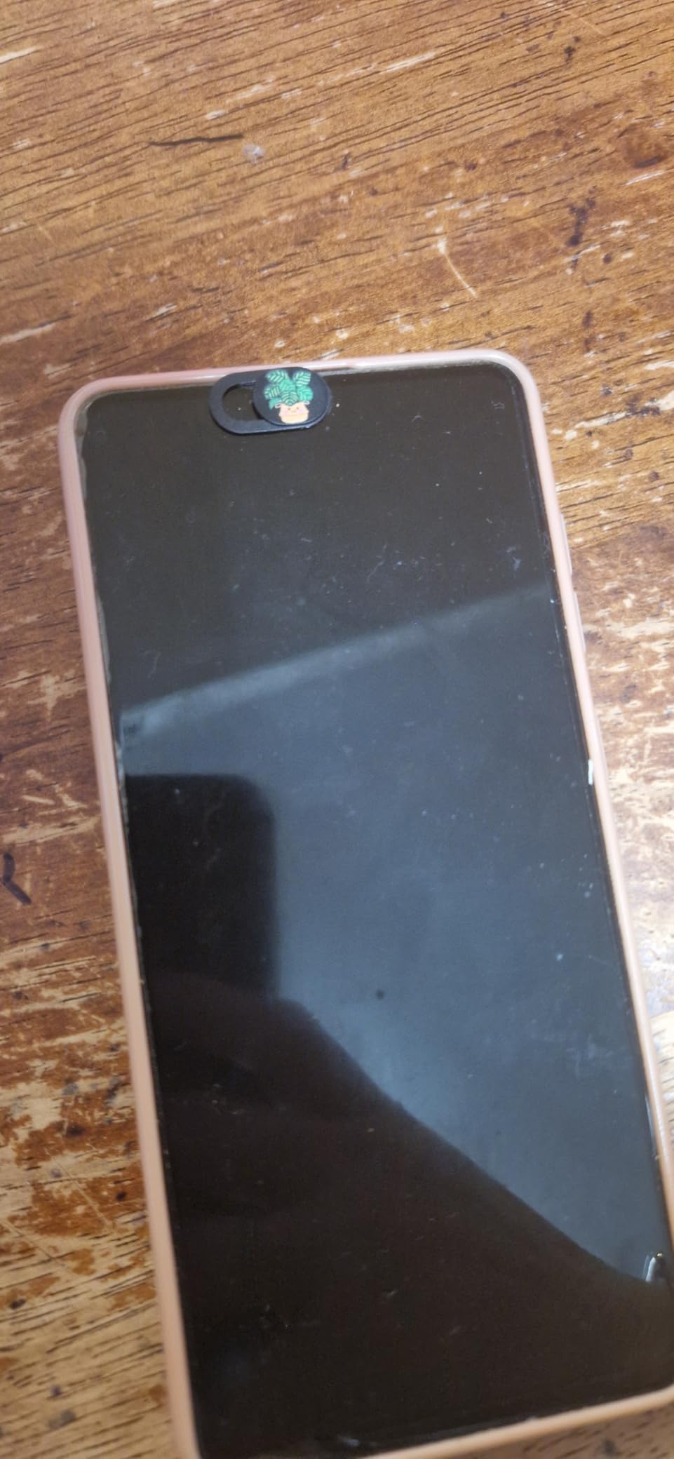 MESMOS 6pk Laptop Camera Cover Slide Cute, Laptop Accessories, Phone & Computer Camera Webcam Cover Slide, Web Cam Privacy Blocker (Small) customer photo 1