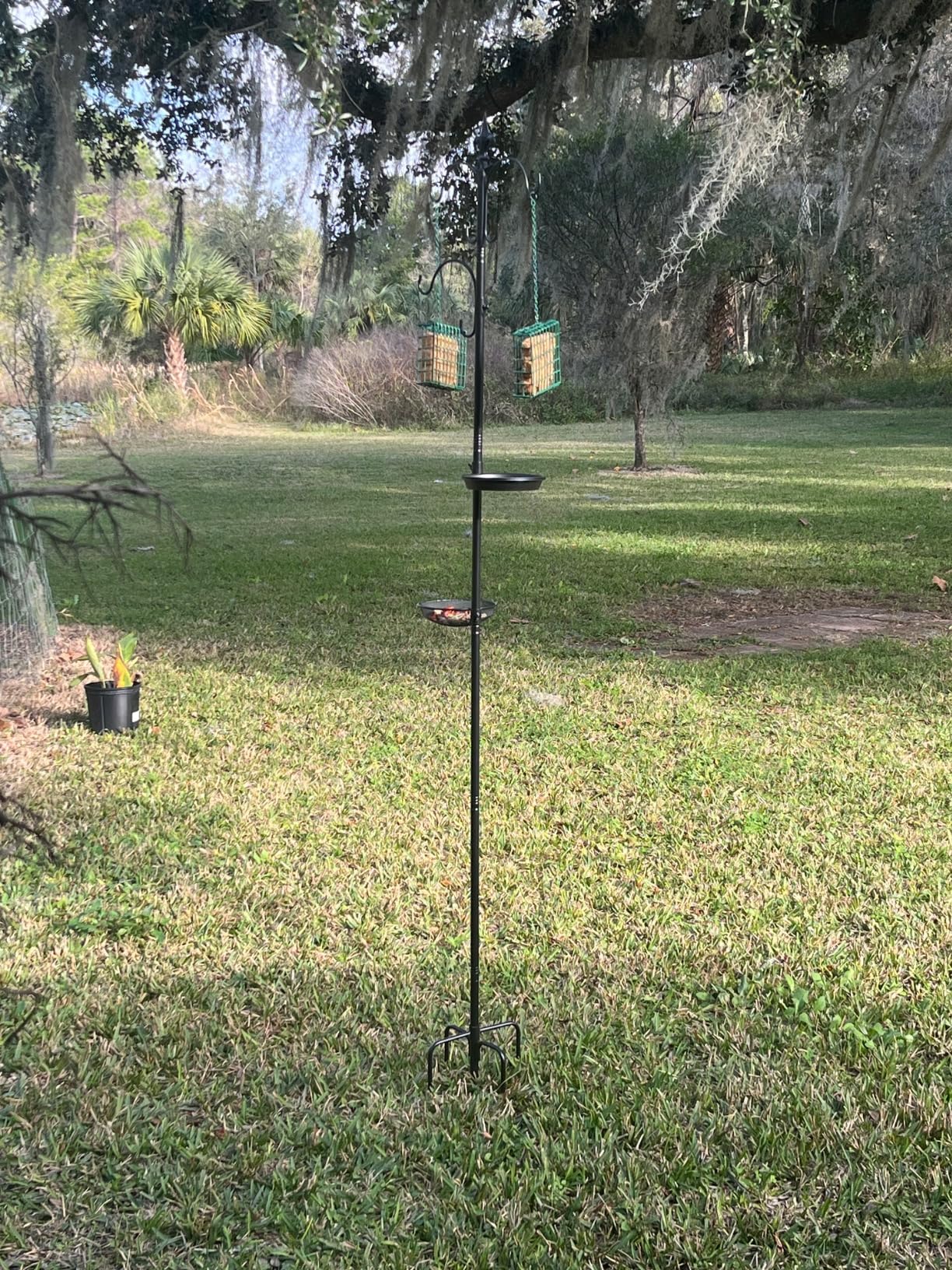 FEED GARDEN Deck Bird Feeder Pole, 42 Inches, Multiple Hooks, Adjustable, Detachable, Heavy Duty Steel, Stable, Black, BirdFeeders Porch for Deck Kit for Outside Bird Feeders and Plant Hangers customer photo 2