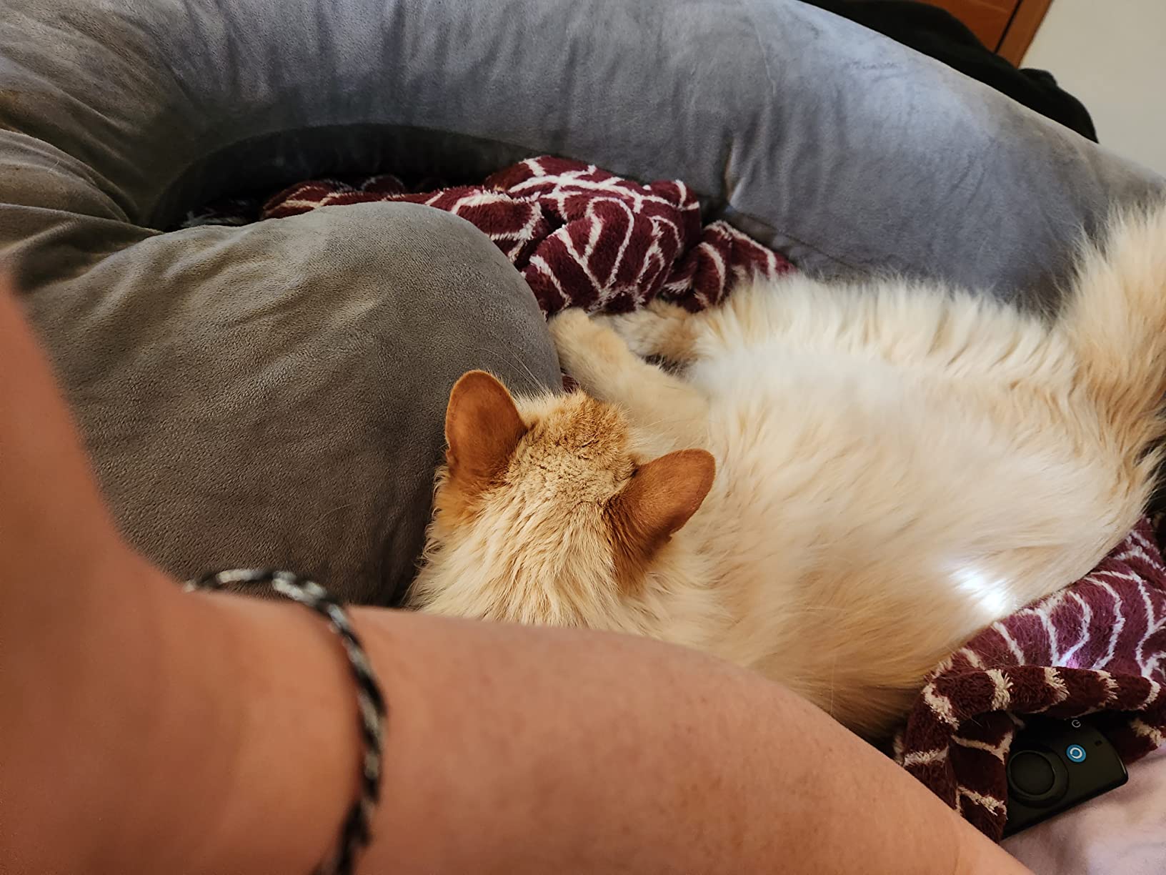 Pregnancy Pillow, C Shaped Full Body Pillow for Maternity Support and Pregnant Women Sleeping with Velvet Cover (Dark Grey) customer photo 2