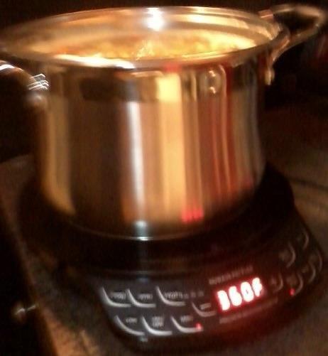 Nuwave Flex Precision Induction Cooktop, 10.25